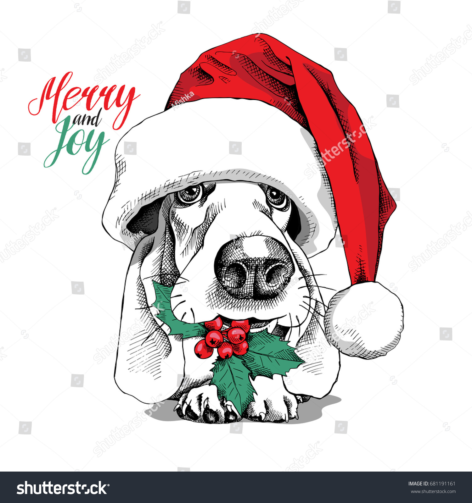 Download Basset Hound Dog Big Santas Cap Stock Vector 681191161 ...