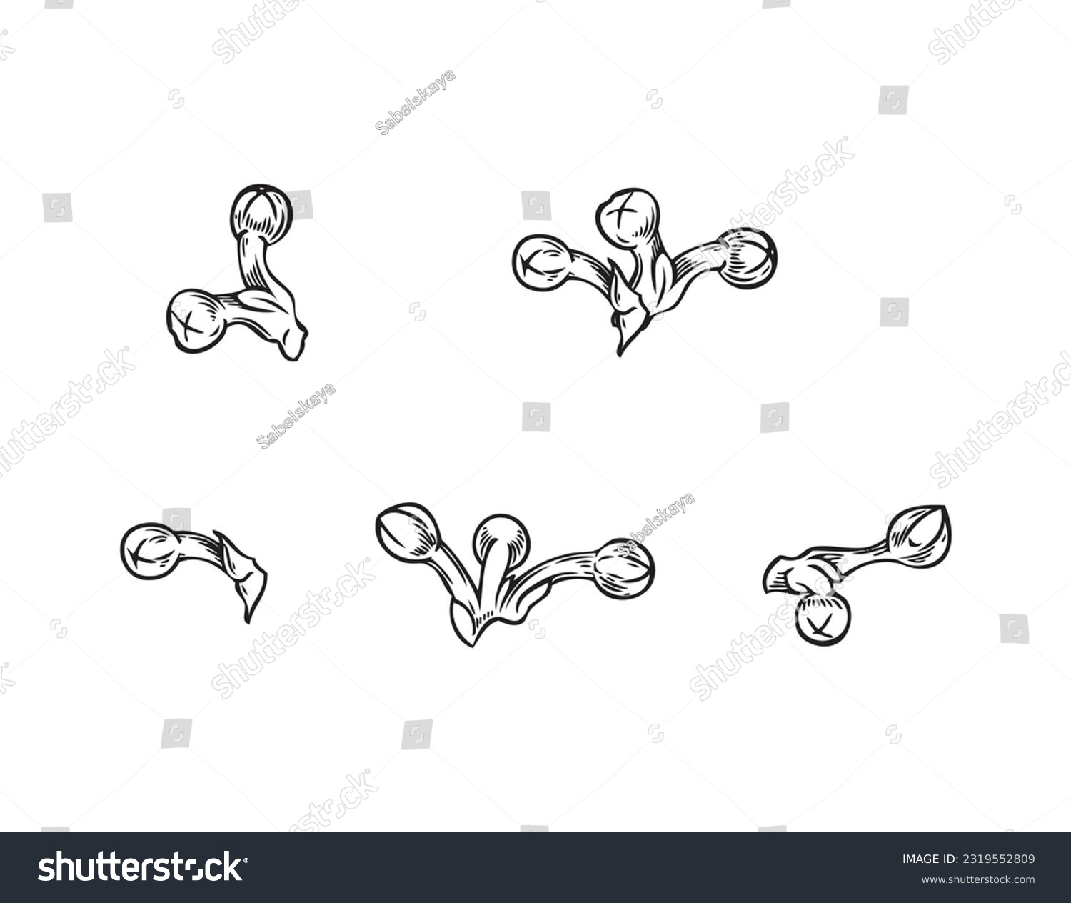 SVG of Bay leaf seeds growing, hand drawn sketch vector illustration isolated on white background. Set of monochrome bay laurel branches growing new leaves. Gardening concept. svg
