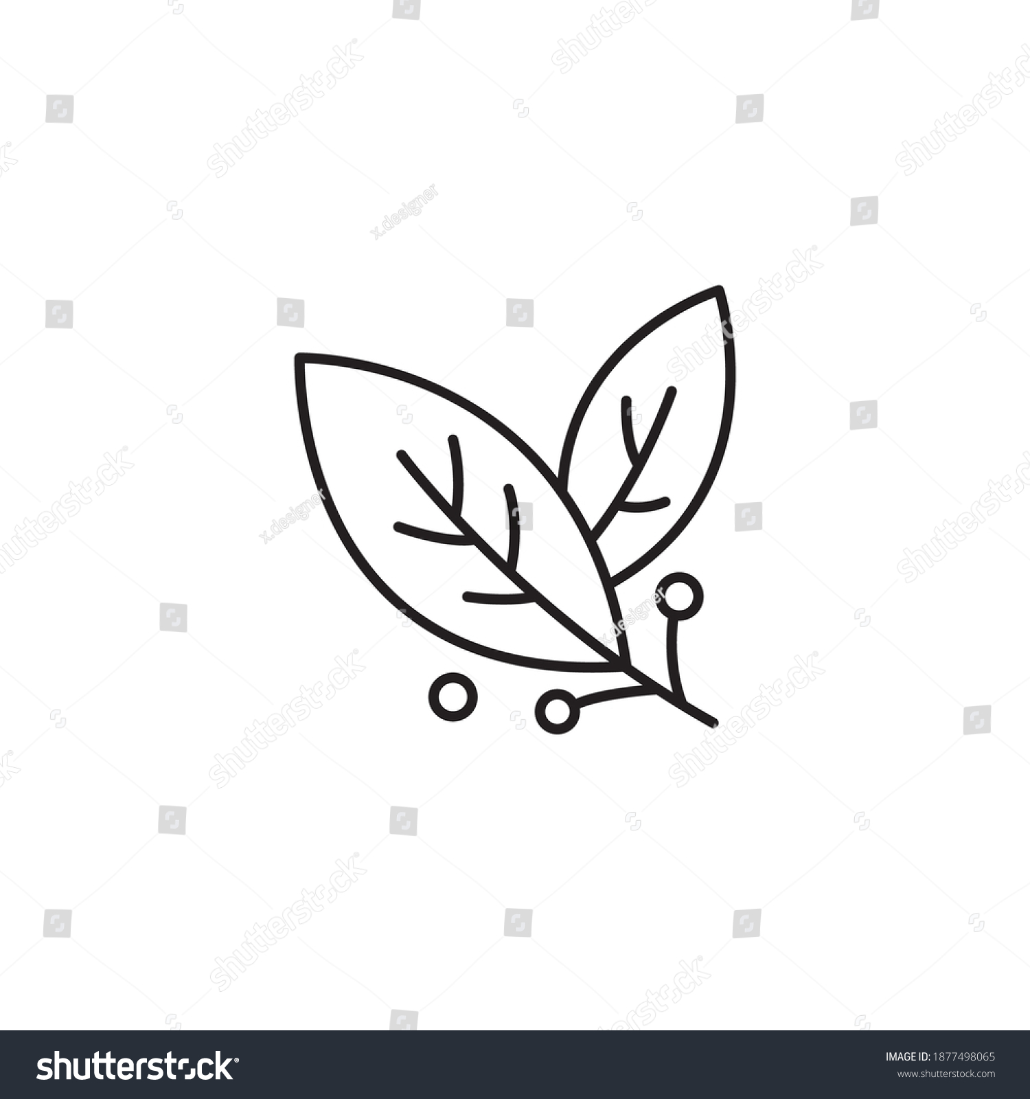 SVG of Bay leaf simple thin line icon vector illustration svg