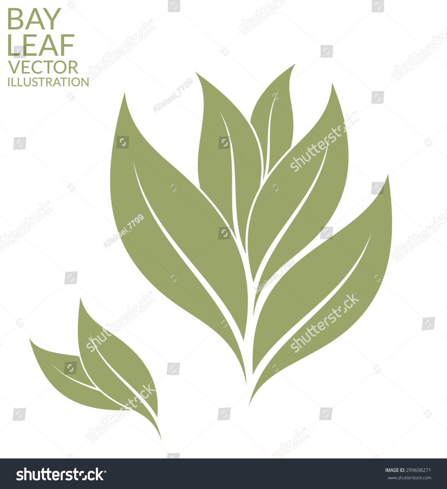 SVG of Bay leaf. Vector illustration EPS10 svg