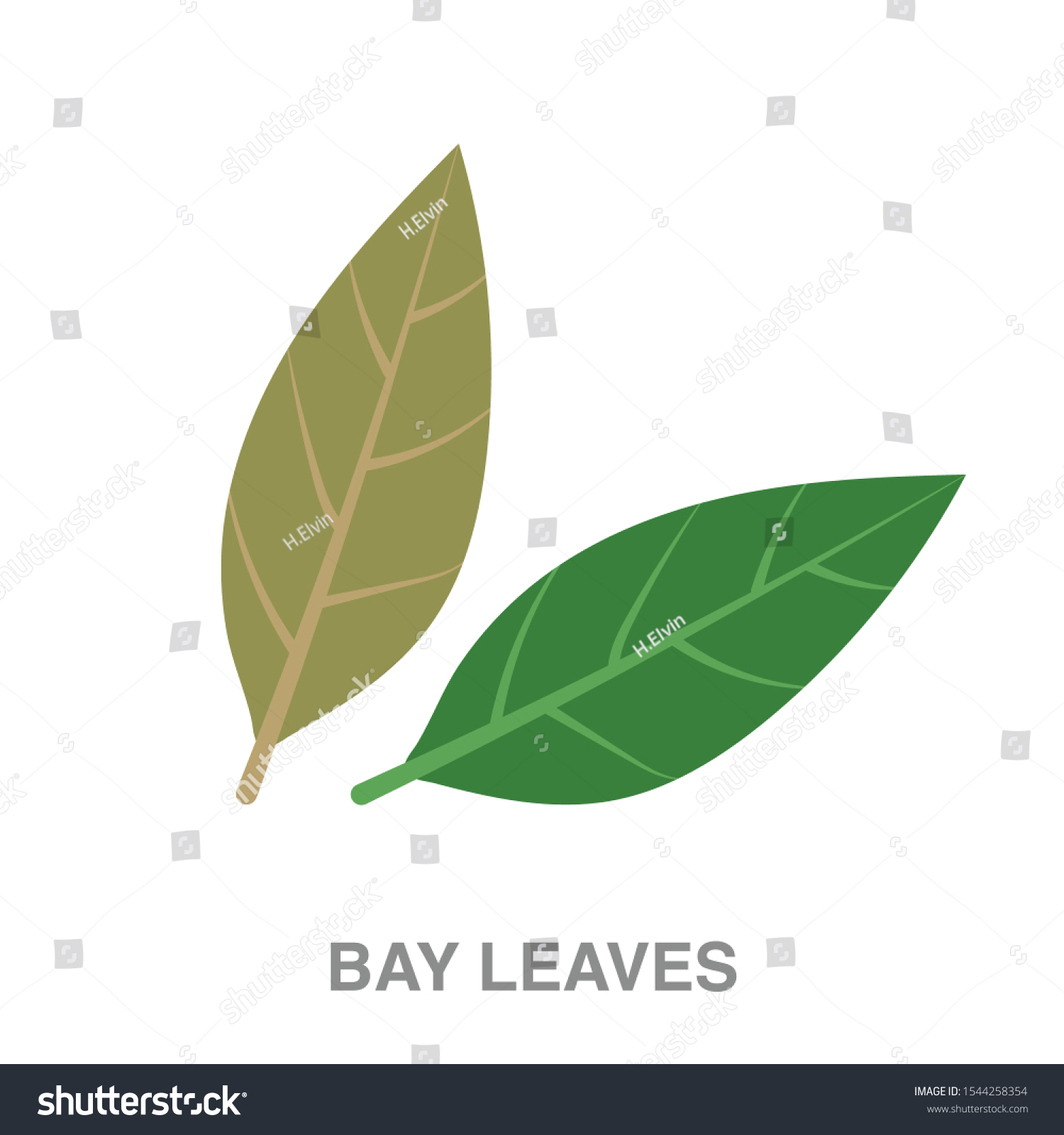 SVG of Bay leaves flat icon on white transparent background. You can be used bay leaves icon for several purposes. svg