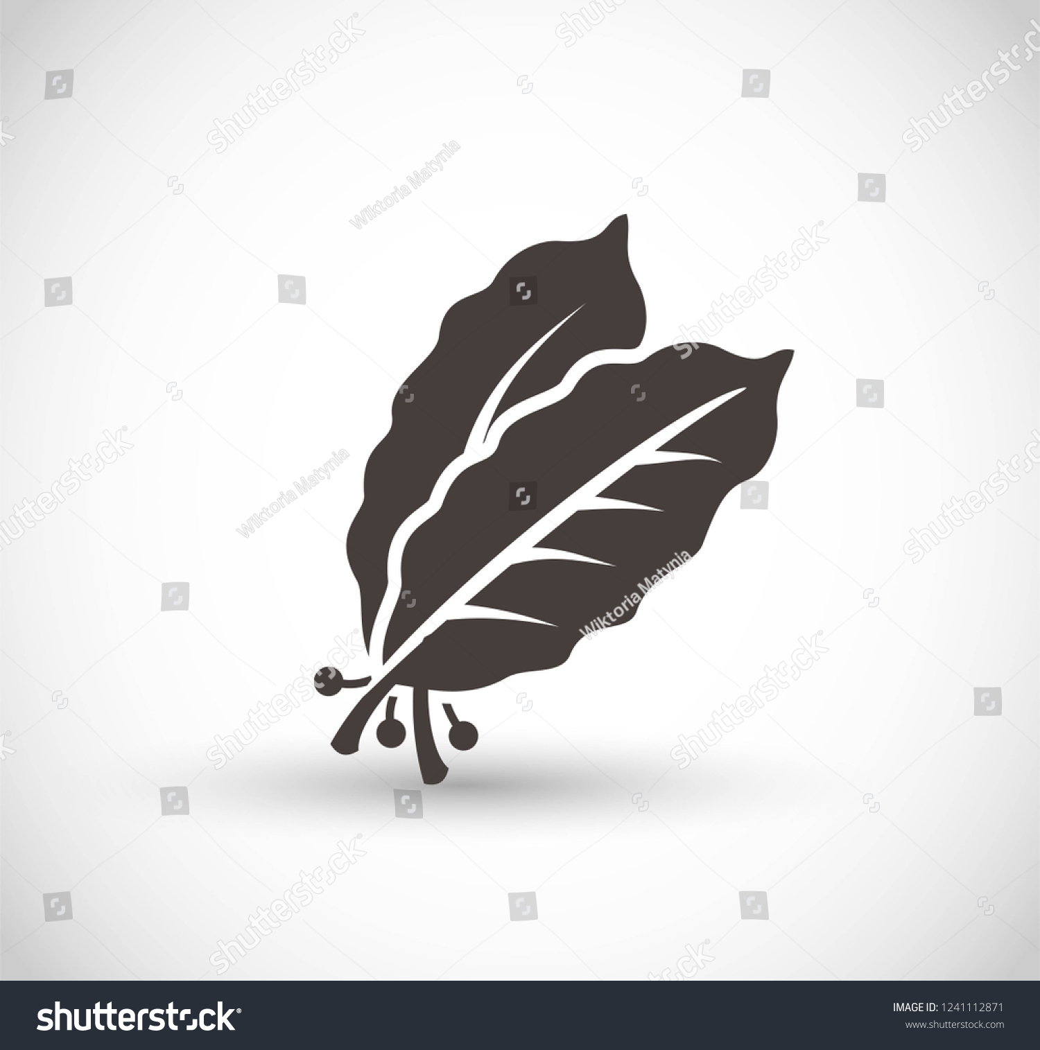 SVG of Bay leaves vector icon svg