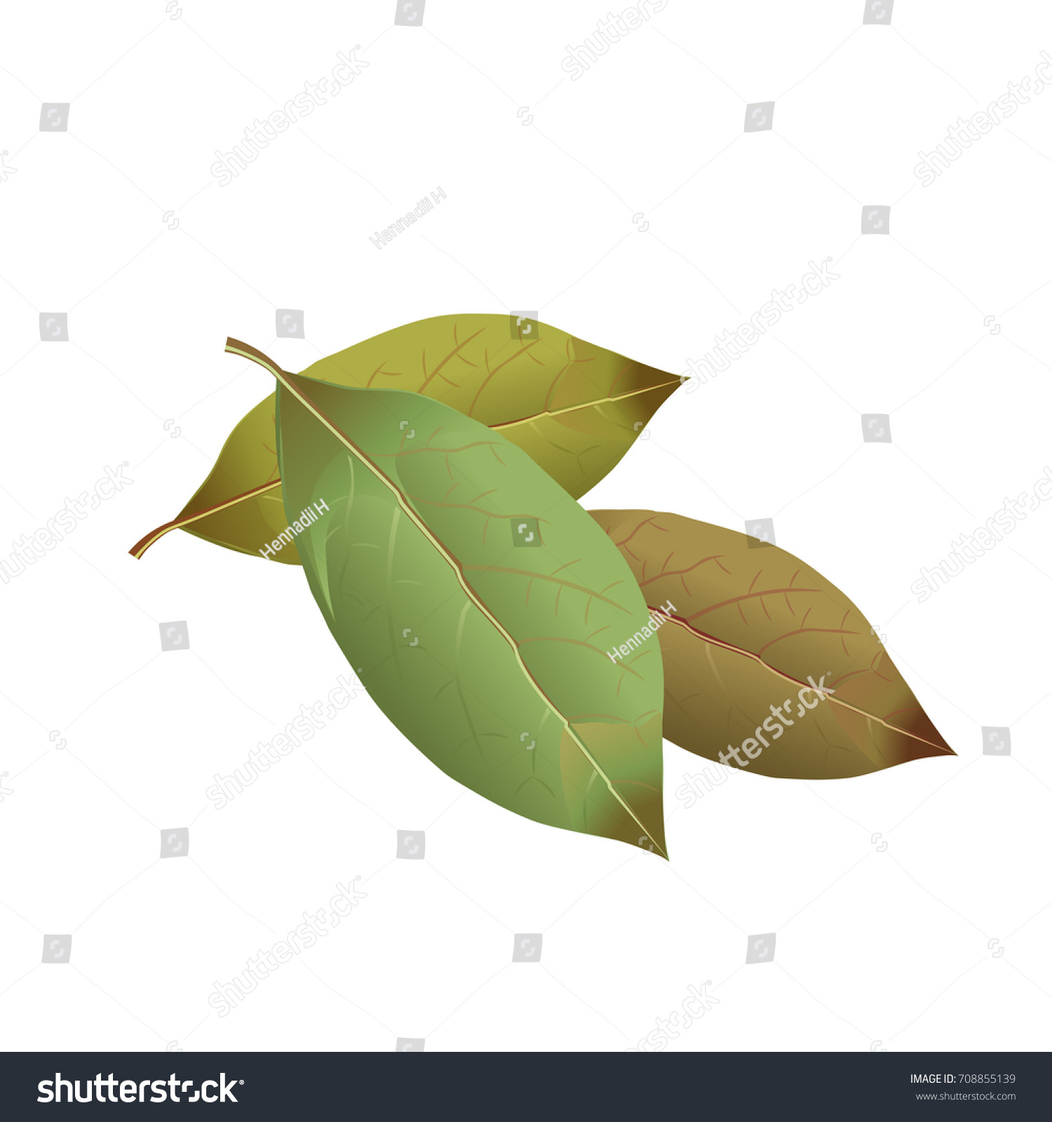 SVG of Bay leaves. Vector illustration svg