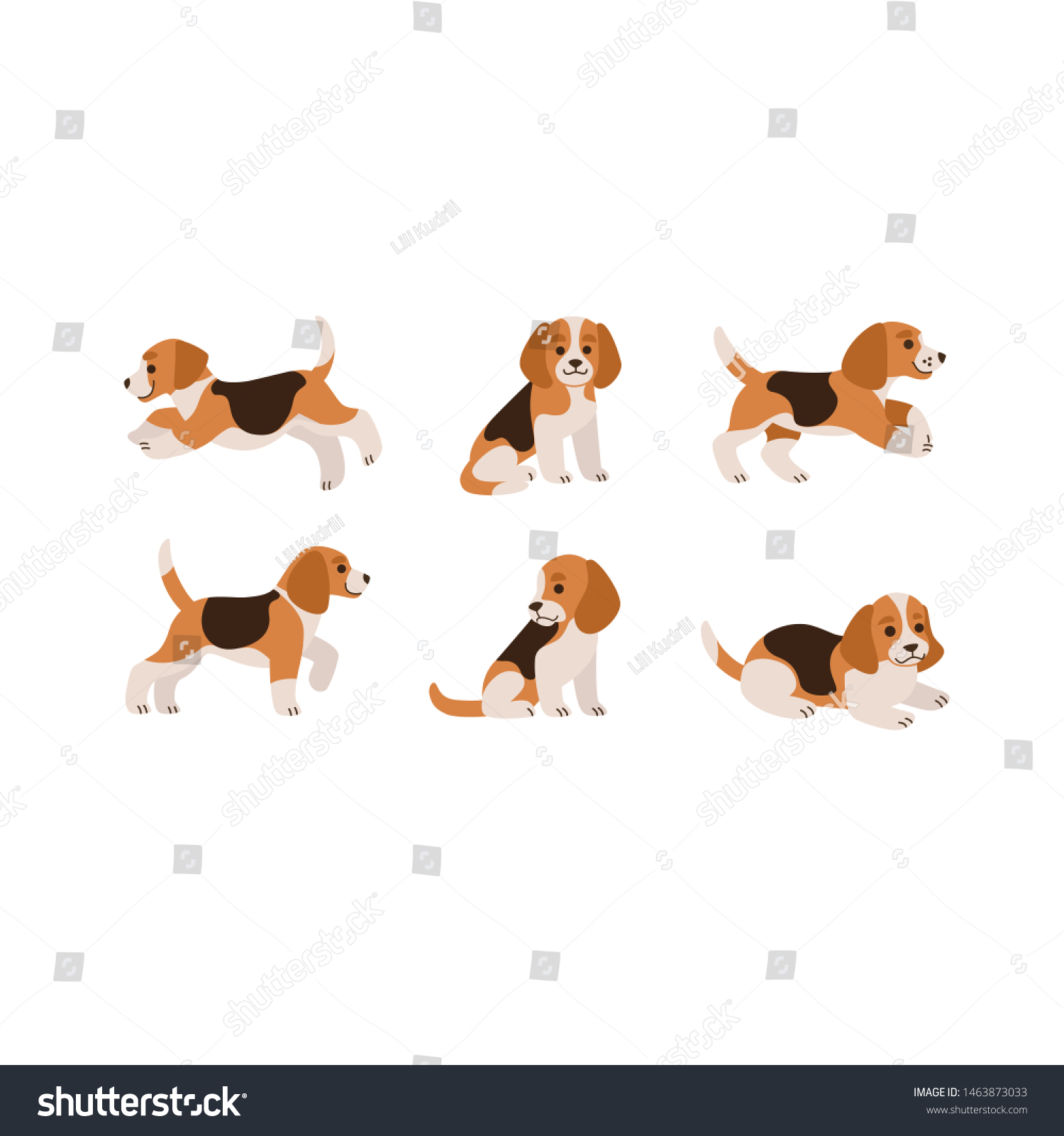 Types Of Beagles Dogs