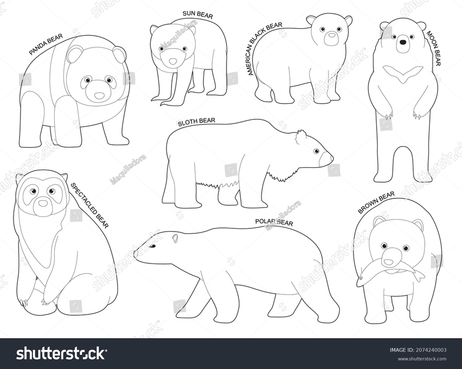 703 Andean Bear Images, Stock Photos & Vectors 