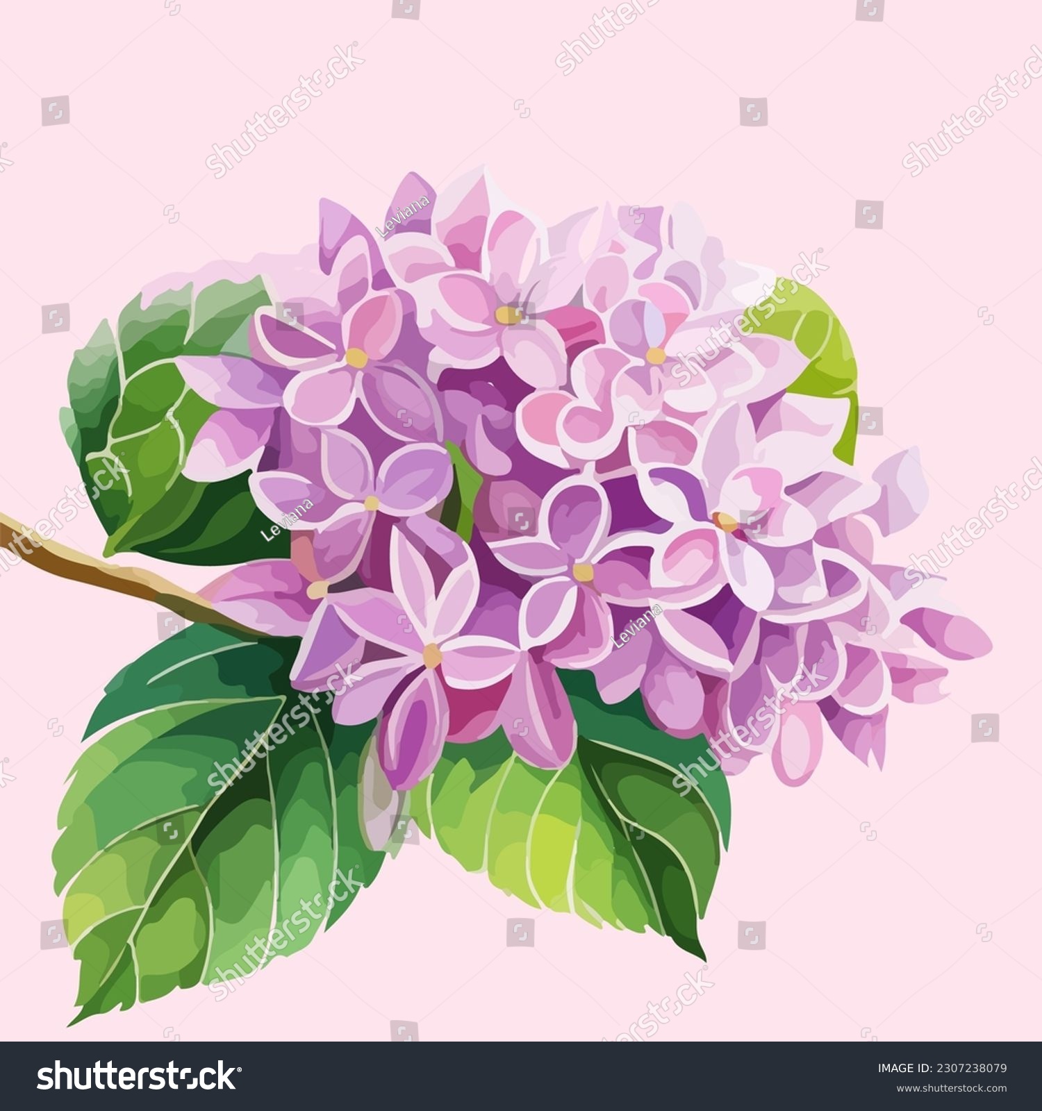 SVG of Beautiful abstract lilac flowers in bloom, watercolor dye painting, vector EPS 10 illustration svg