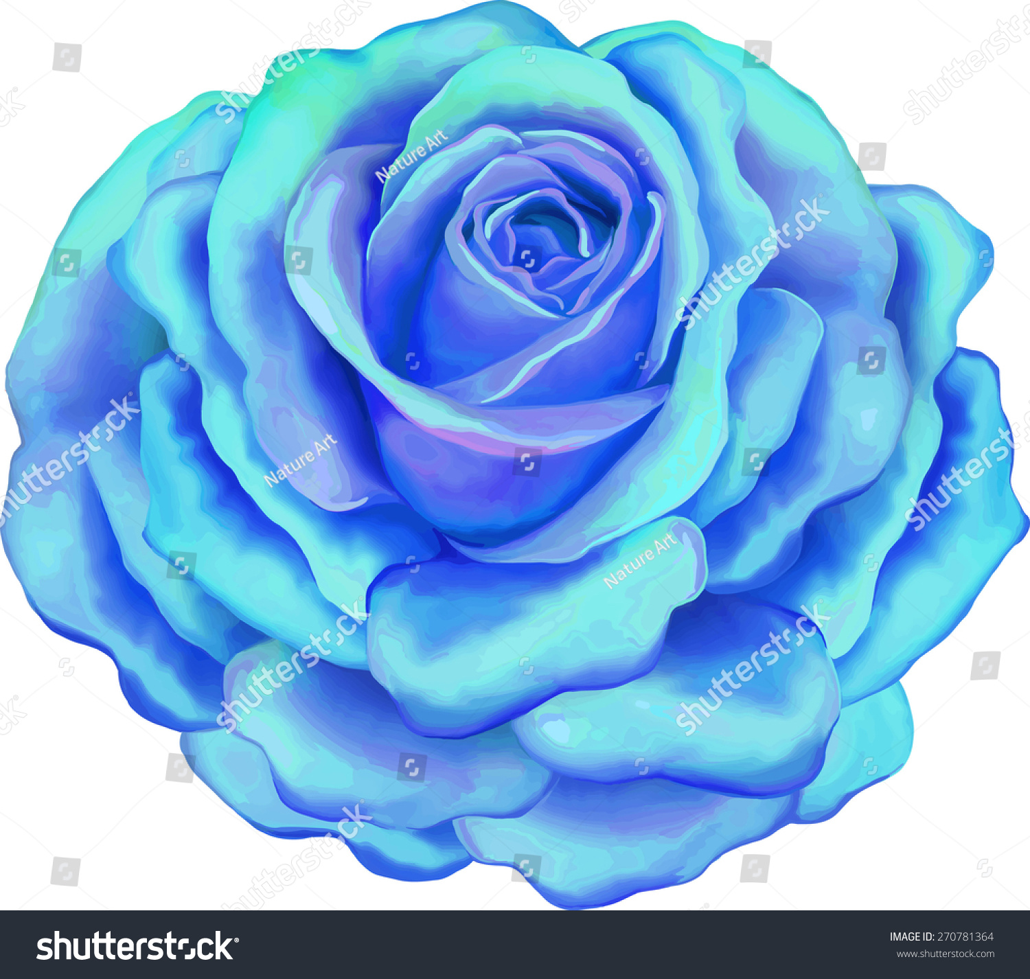 Beautiful Blue Rose Flower Isolated On Stock Vector Royalty Free 270781364,Elegant Modern Contemporary Exterior House Paint Colors