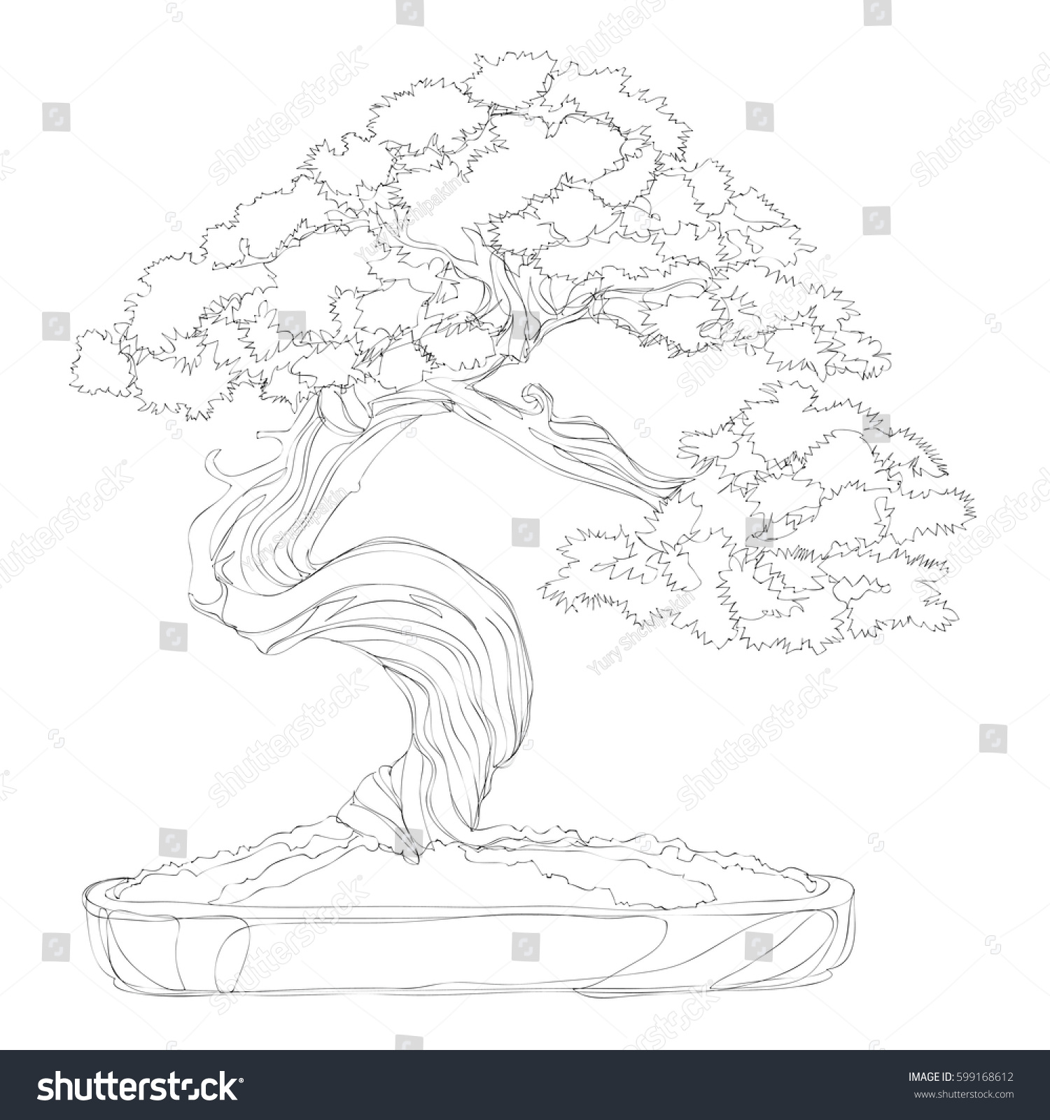 Beautiful Bonsai Traditional Line Art Continuous Stock Vector 599168612 ...