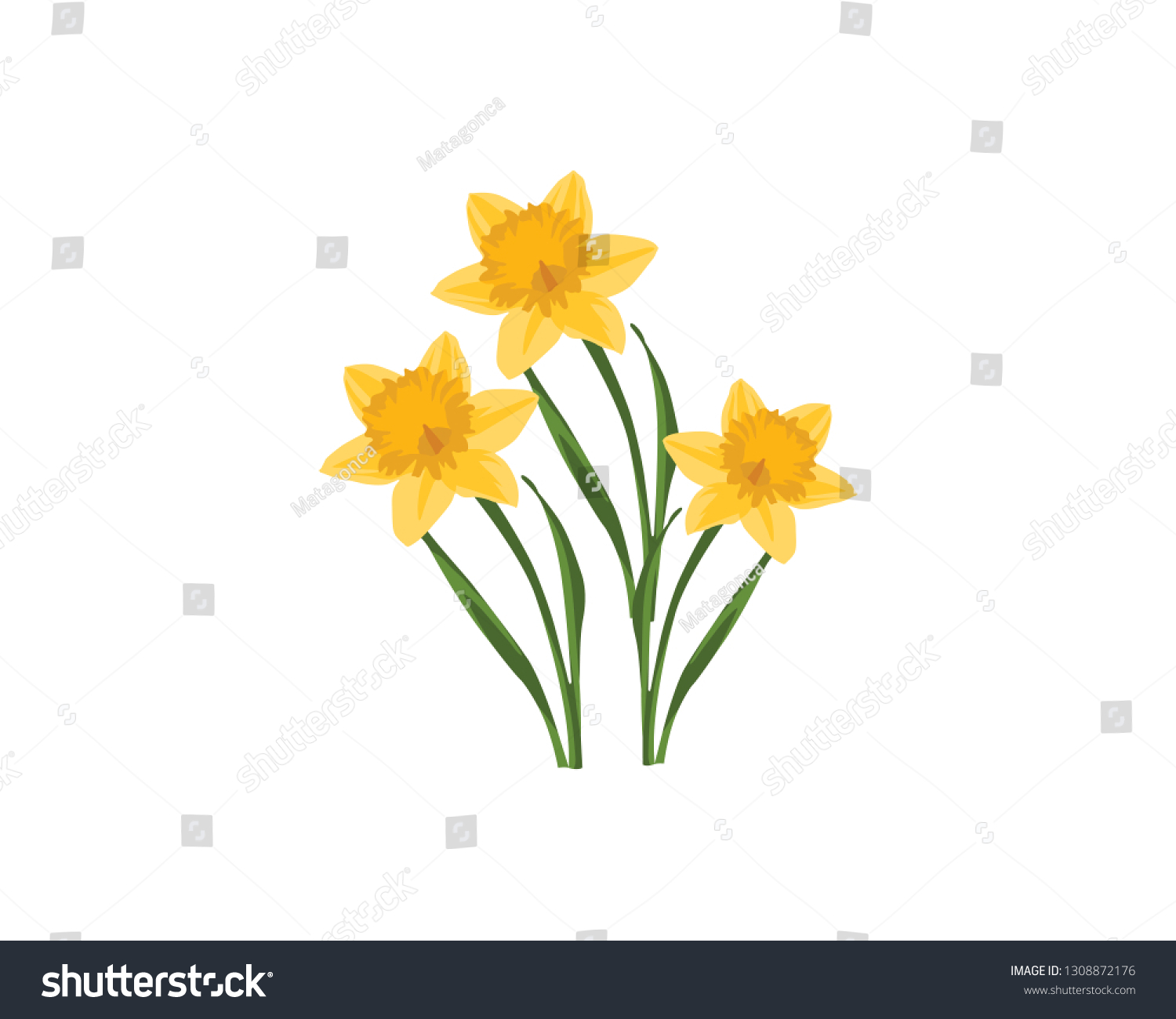 SVG of Beautiful Bouquet of three vector daffodils isolated on white background. Bouquet of yellow narcissus on the white background. Spring flower svg