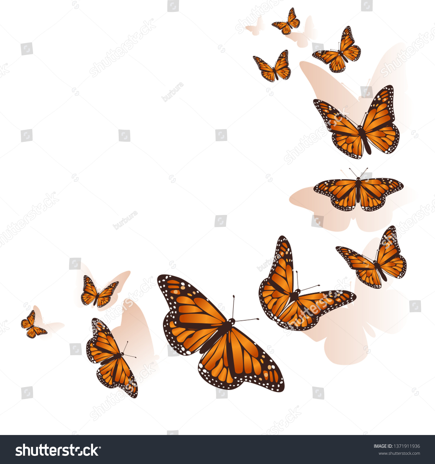 Beautiful Butterfly Background Vector Stock Vector Royalty Free 1371911936