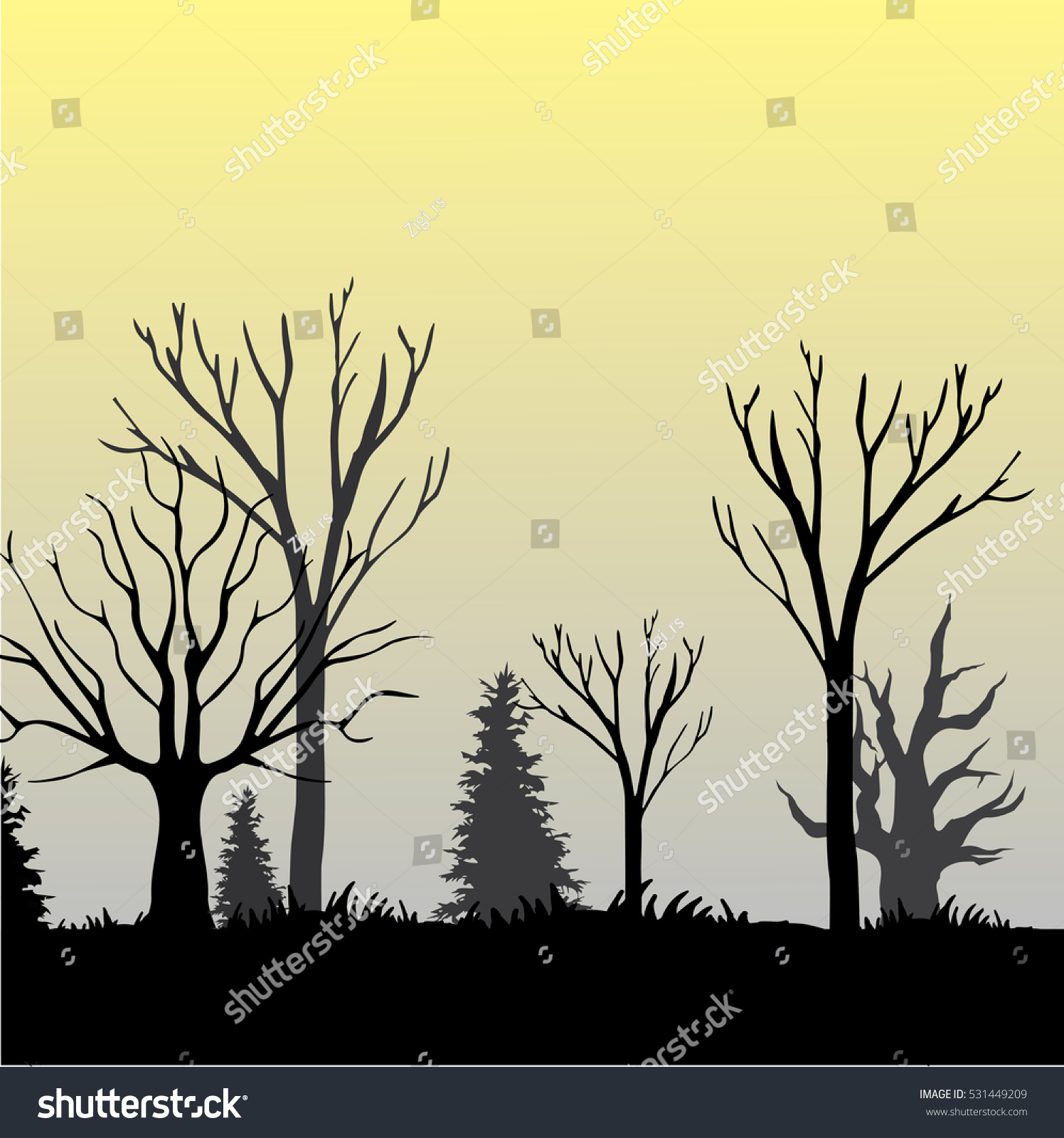 Beautiful Dark Forest Illustration - 531449209 : Shutterstock