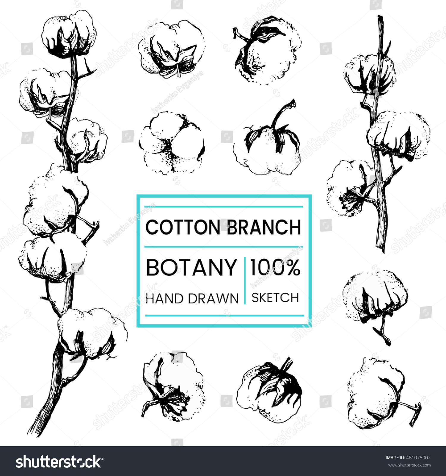 29,889 Cotton flower drawing Images, Stock Photos & Vectors | Shutterstock