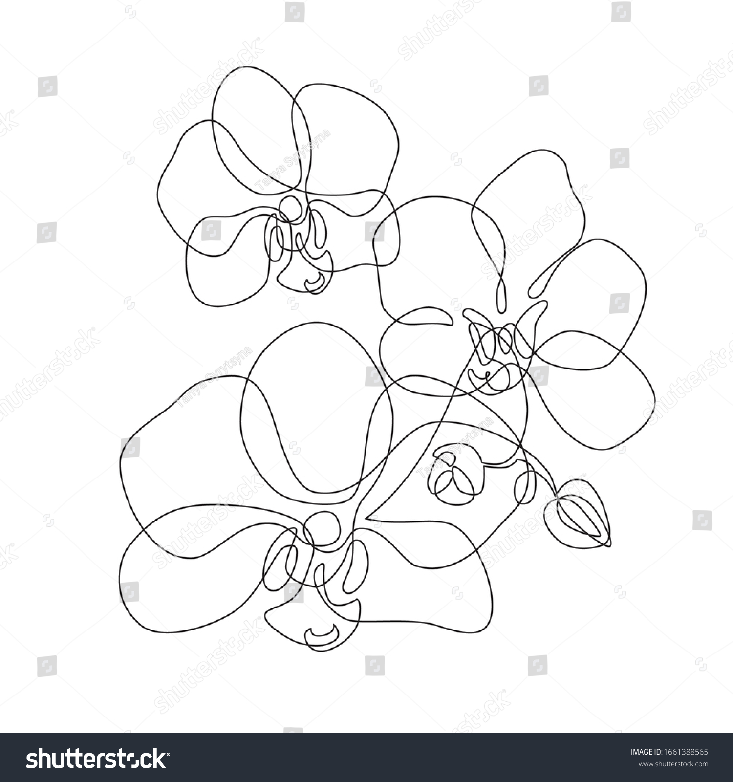 Orchid line drawing Images, Stock Photos & Vectors Shutterstock