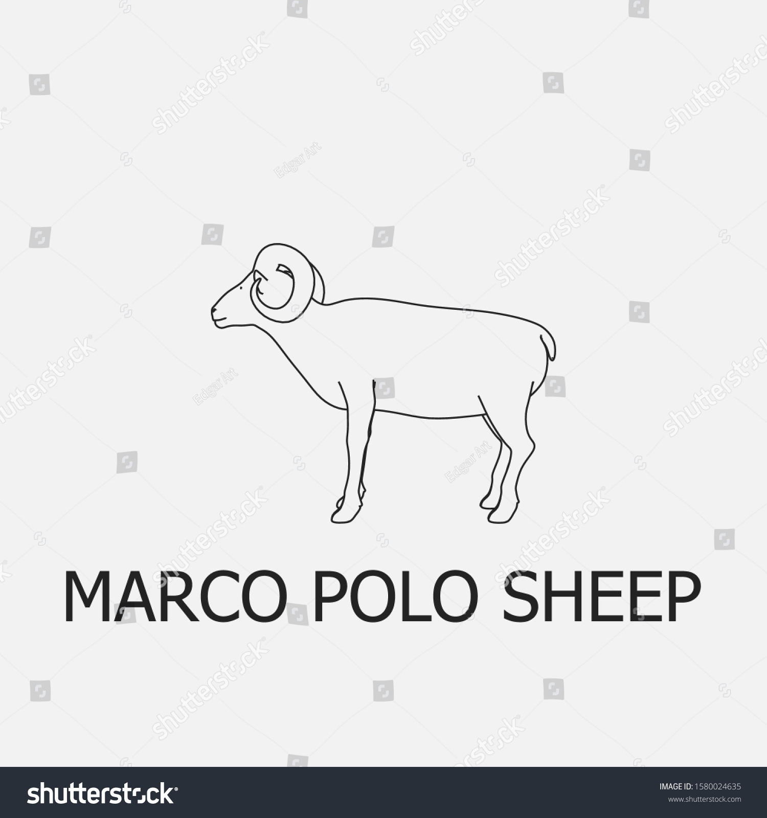 Beautiful Outline Marco Polo Sheep Icon: vector de stock (libre de ...