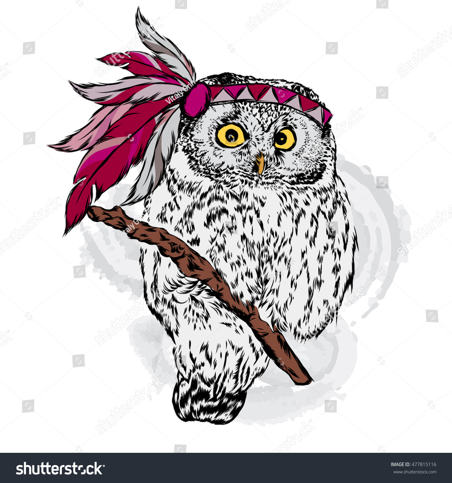 Download Beautiful Owl Feathers Indian Dressing Vector Stock Vector ...