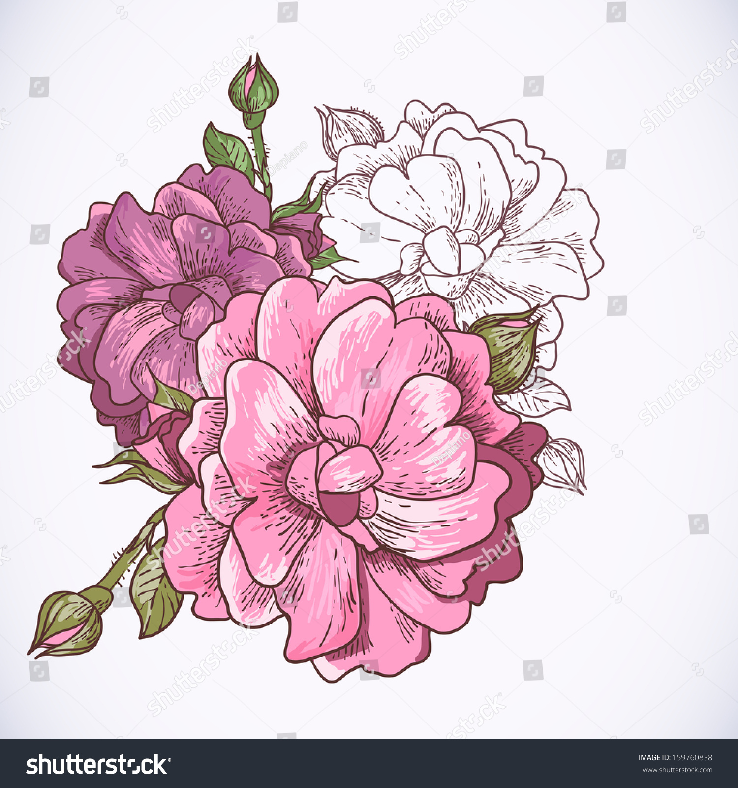 Beautiful Rose Background Wallpaper Greeting Card Stock Vector