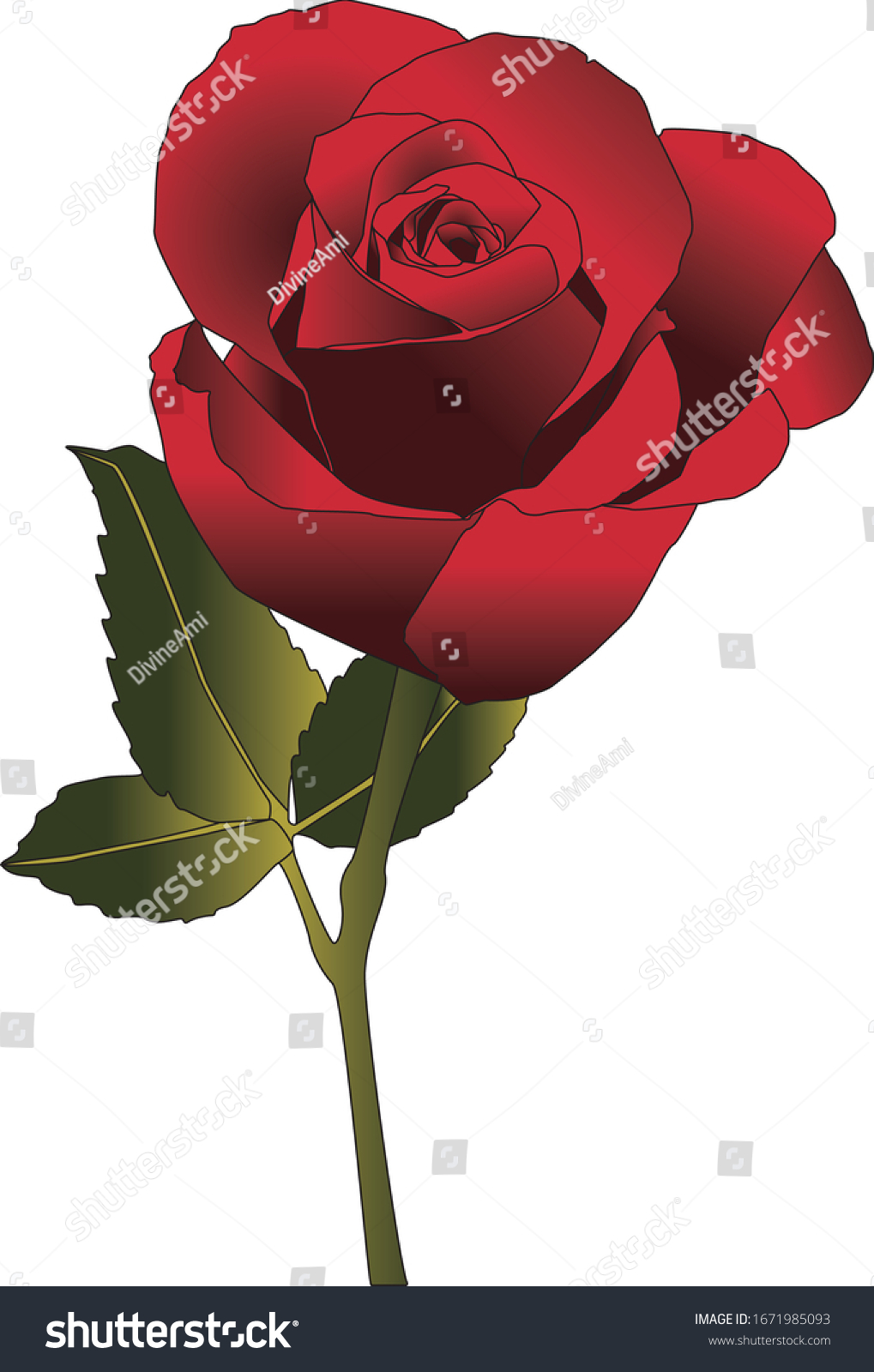 beautiful-rose-beautiful-woman-stock-vector-royalty-free-1671985093