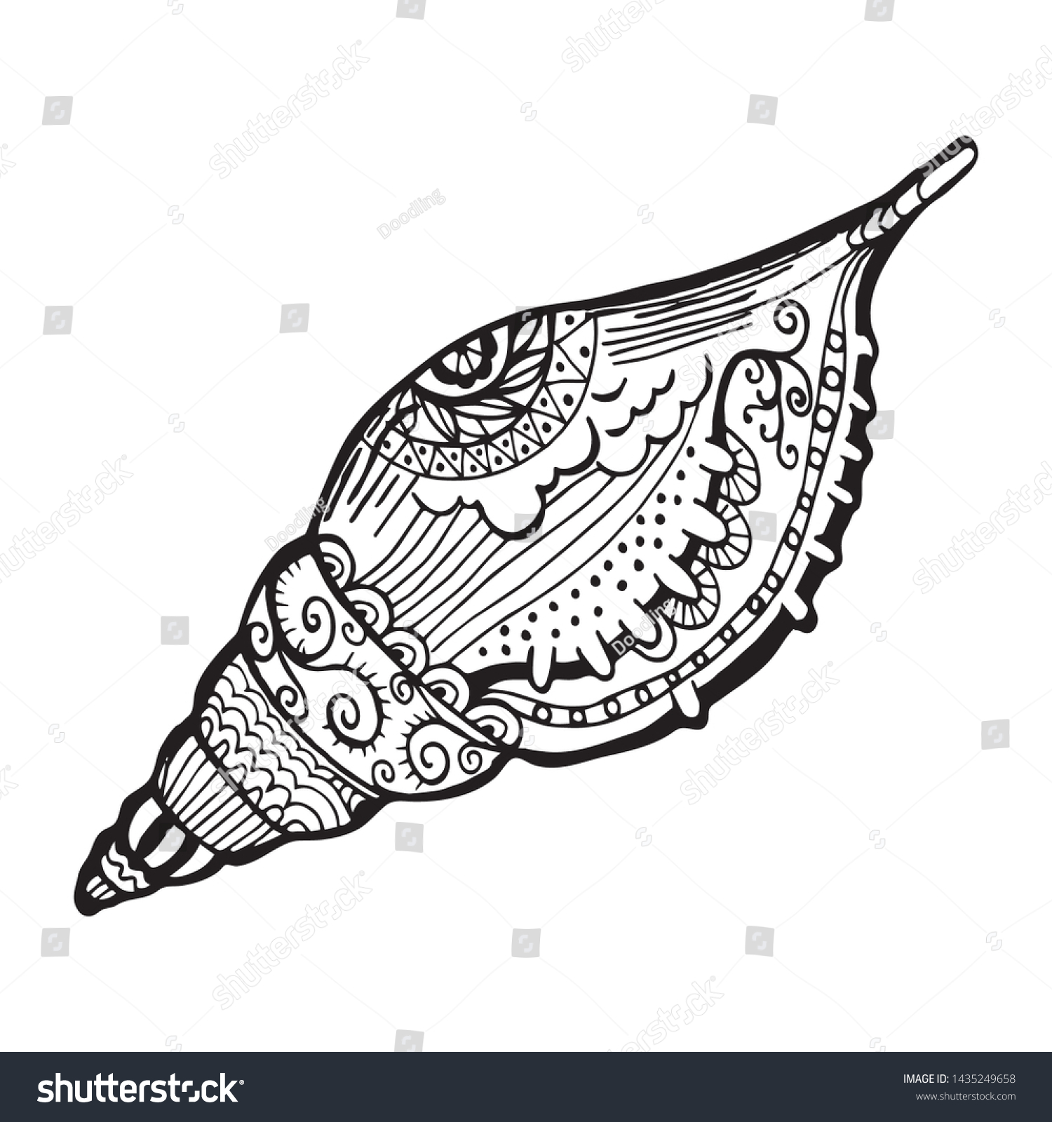 1,353 Zentangle seashell Stock Illustrations, Images & Vectors ...