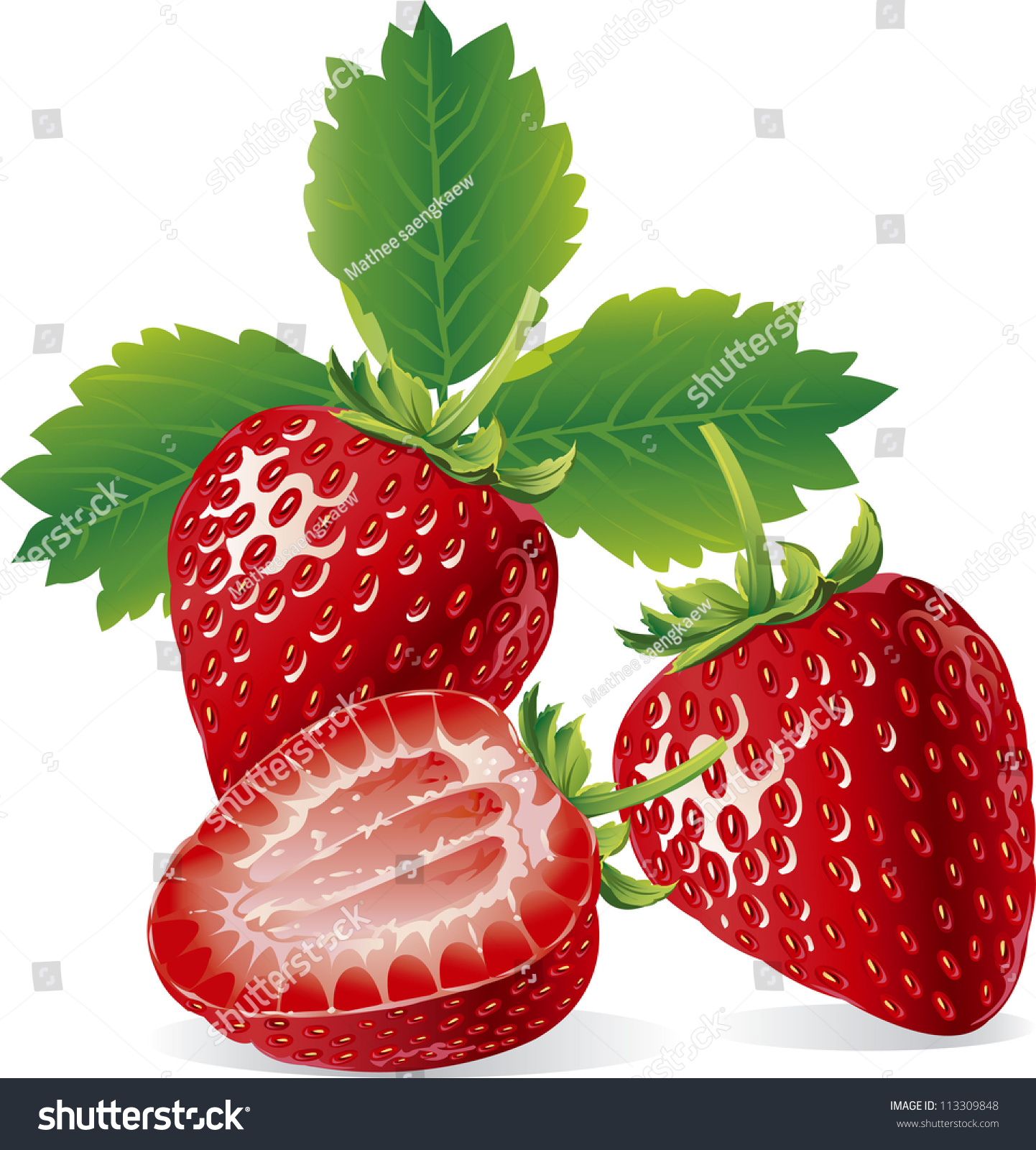 Beautiful Strawberries Vector Illustration Realistic Stock Vector