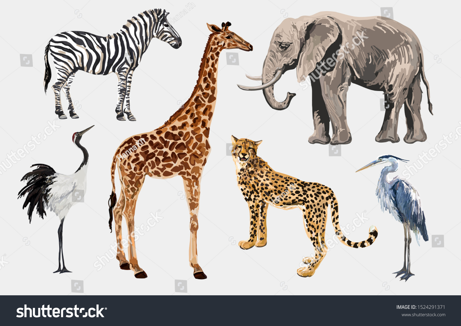 57,196 Watercolor Drawing Jungle Animals Images, Stock Photos & Vectors 