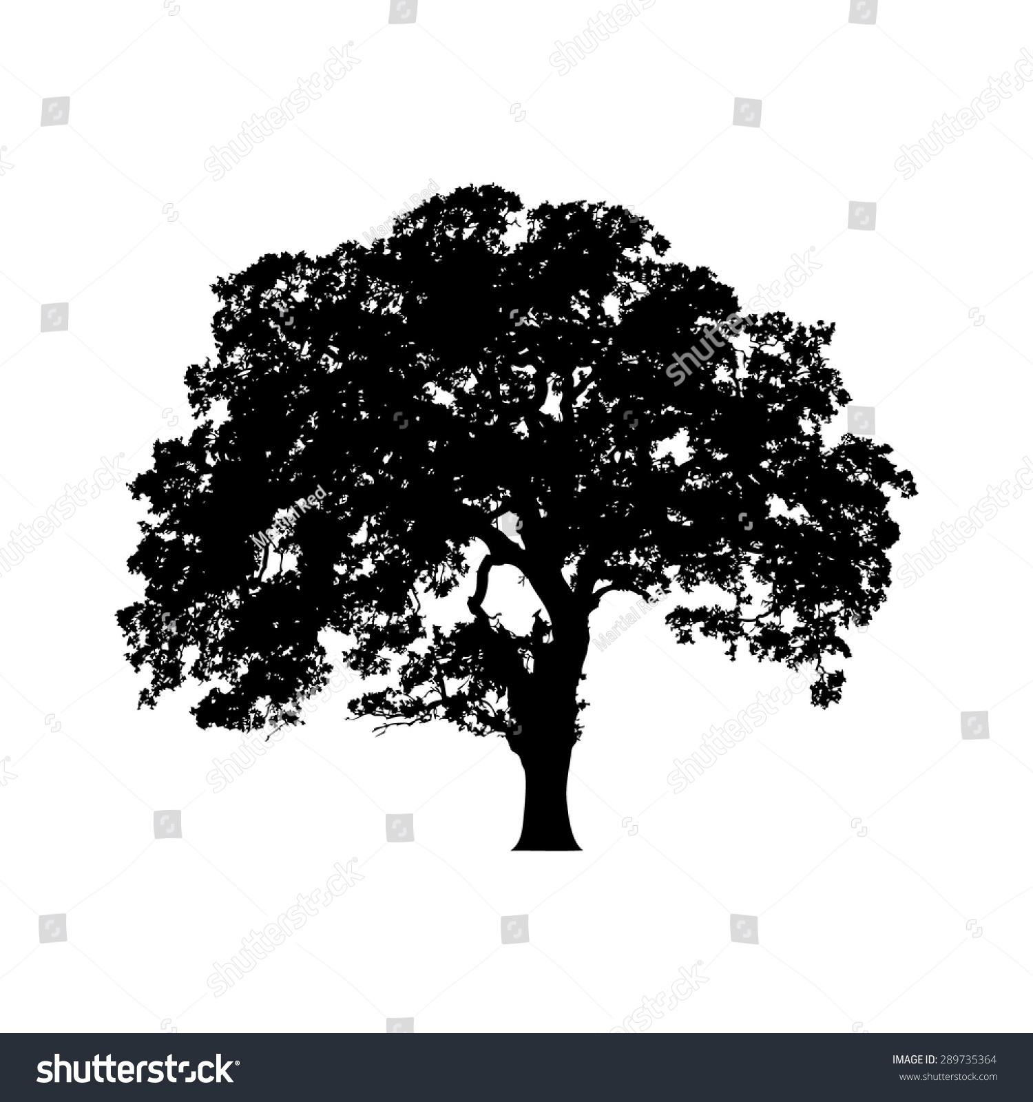 SVG of Beautiful vector tree silhouette outline vector icon for nature apps and websites svg