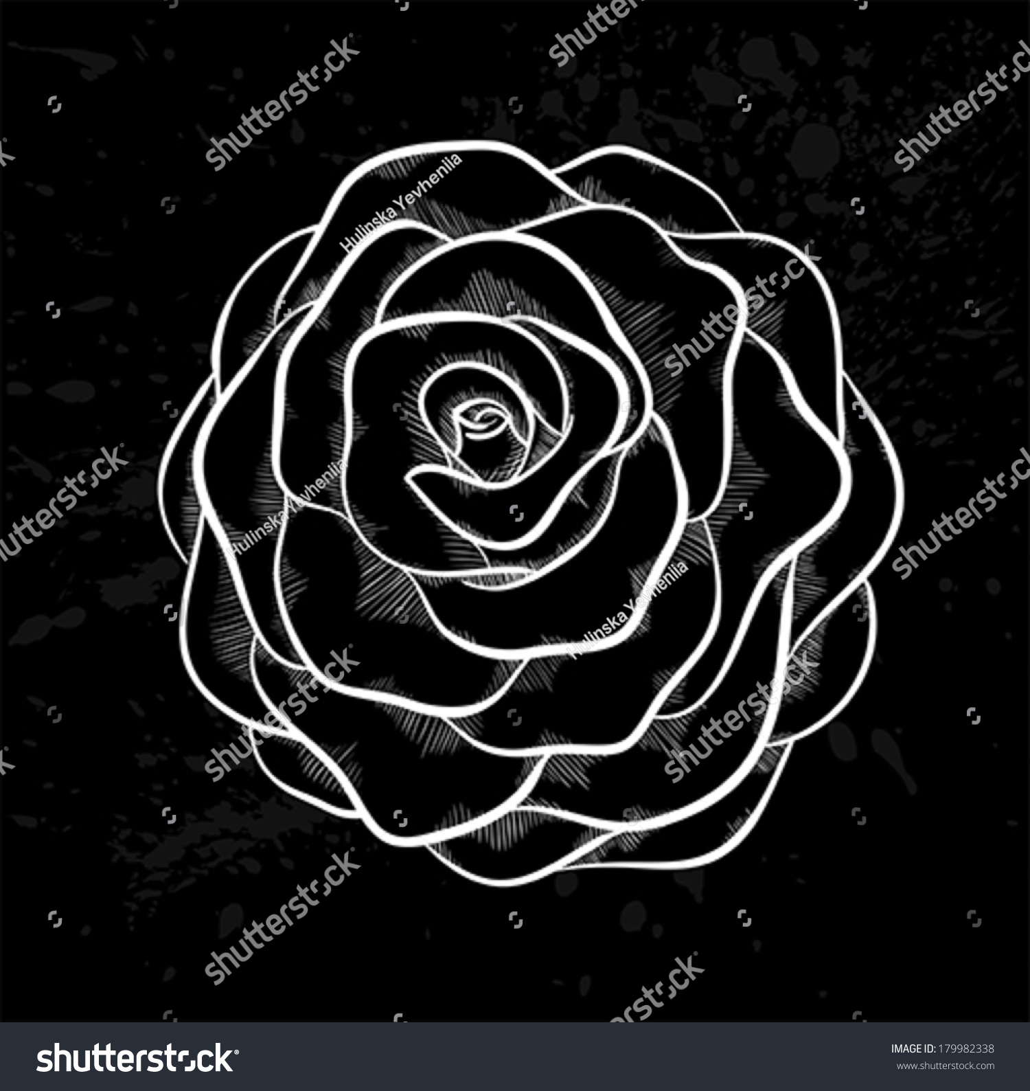 Beautiful White Rose Outline Gray Spots Nature Abstract Stock Image