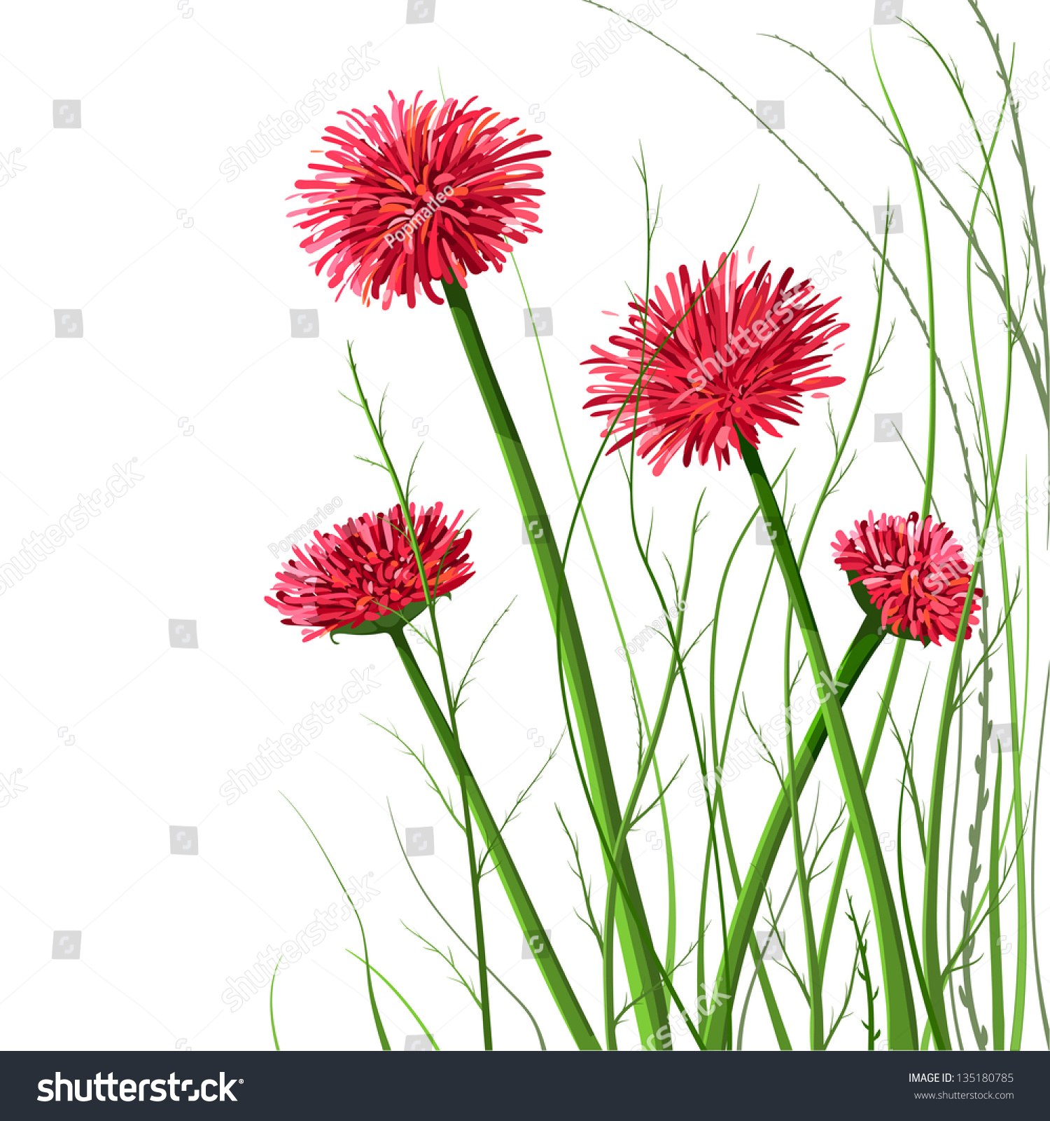 beautiful wild flowers illustration vector decorative flowers and grass illustration eps8 no effects - Decorative Flowers beautiful wild flowers illustration vector decorative flowers and grass illustration eps8 no effects - Decorative Flowers