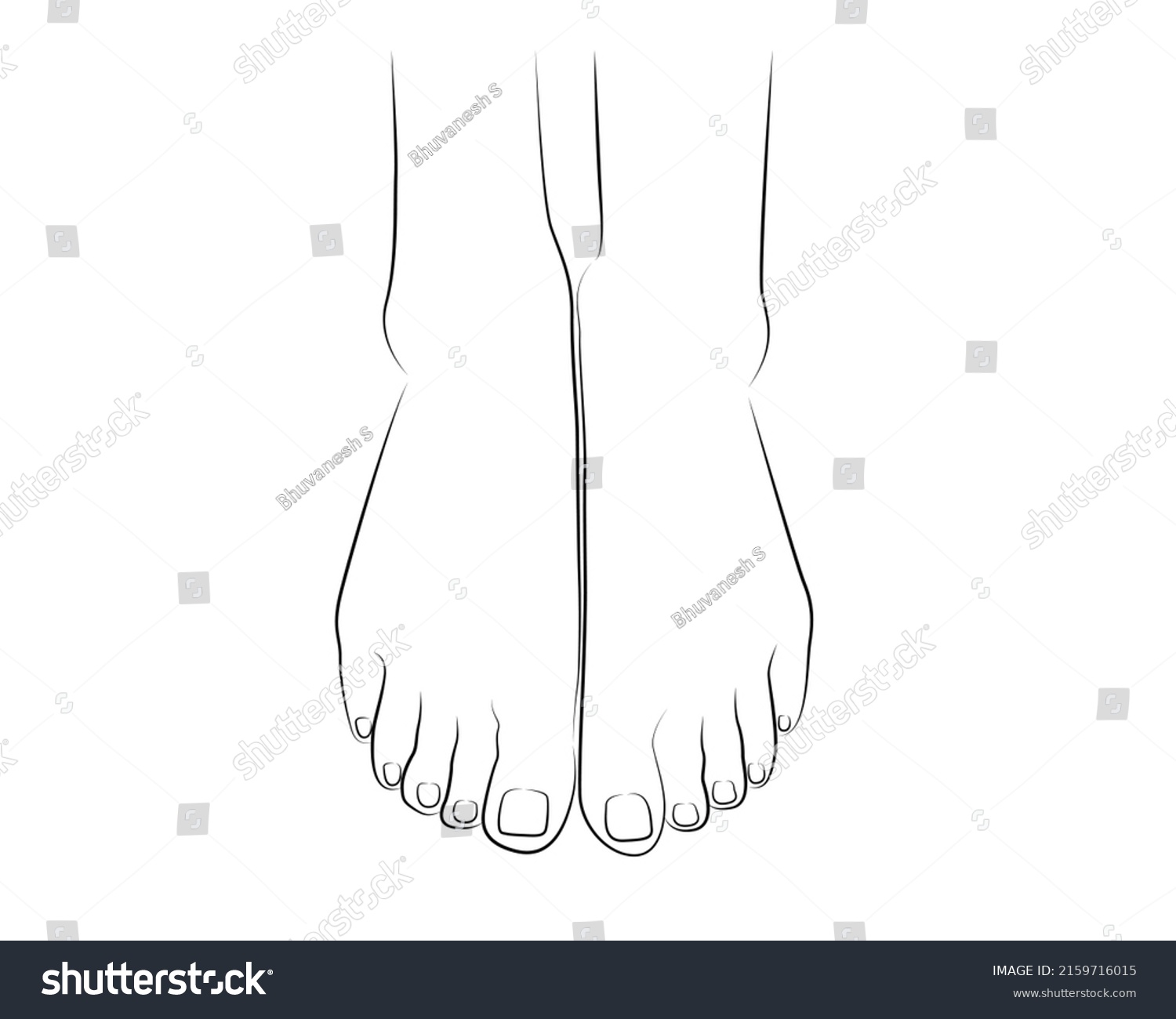 Beautiful Woman Feet Line Drawing Isolated Stock Vector (Royalty Free ...