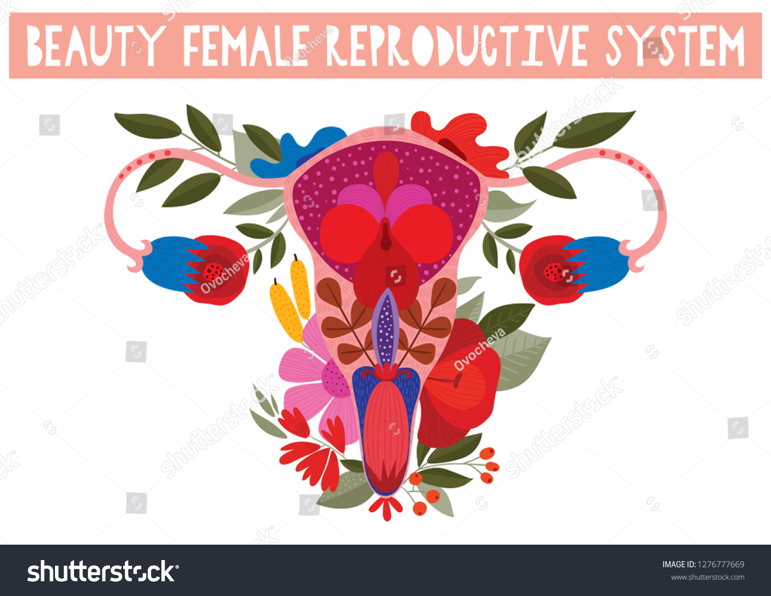 Beauty Female Reproductive System Flowers Hand Stock Vector Royalty Free 1276777669 Shutterstock 5430