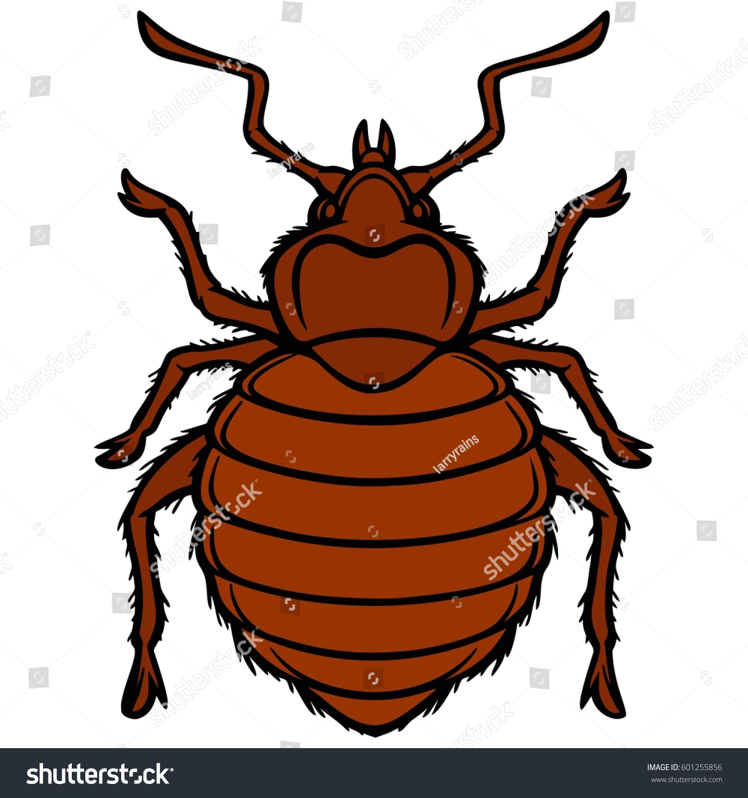 Bed Bug Graphic Stock Vector 601255856 - Shutterstock