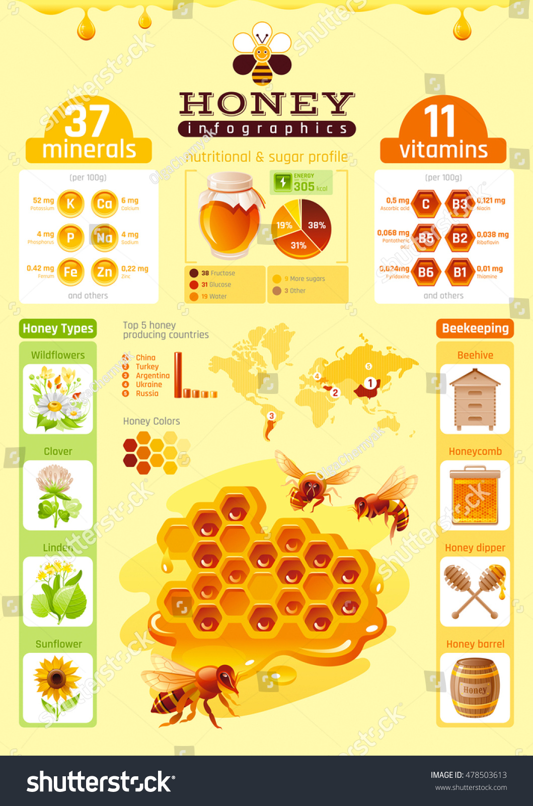 Bee Honey Template Infographics Vitamin Mineral Stock Vector 478503613 ...