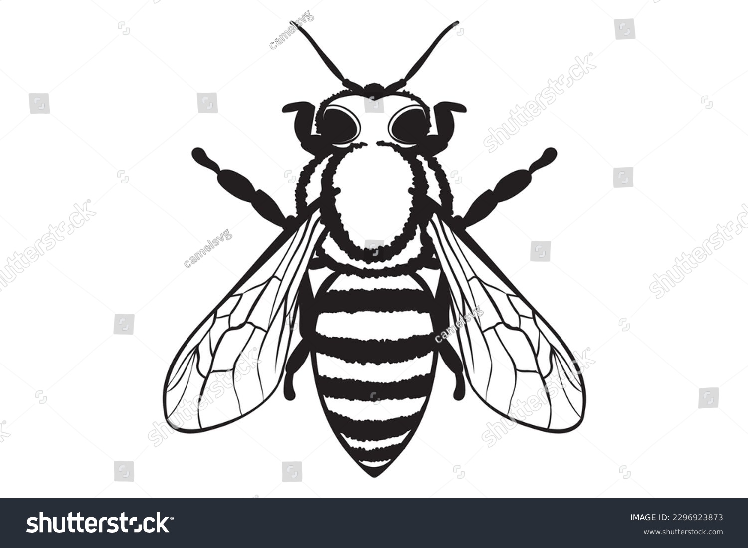 SVG of Bee, Honeybee, Handwritten Bee Svg, Bumble Bee  svg
