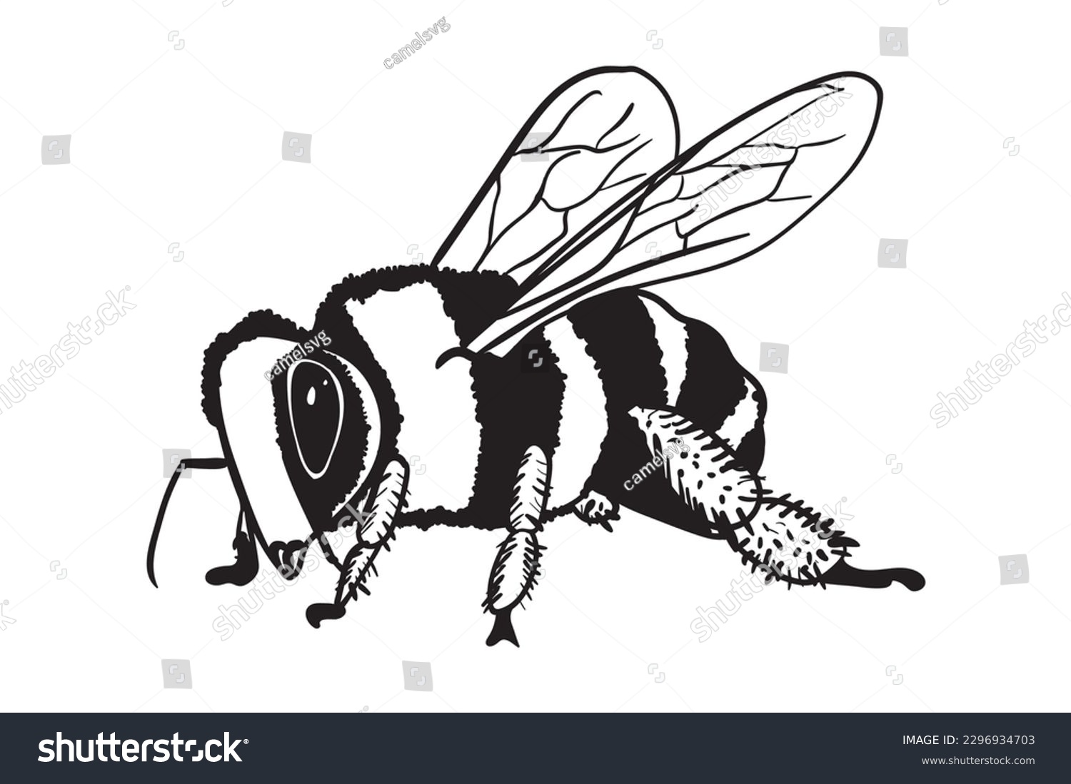 SVG of Bee, Honeybee Svg, Queen Bee, Handwritten Bee, Bumble Bee, Honey  svg