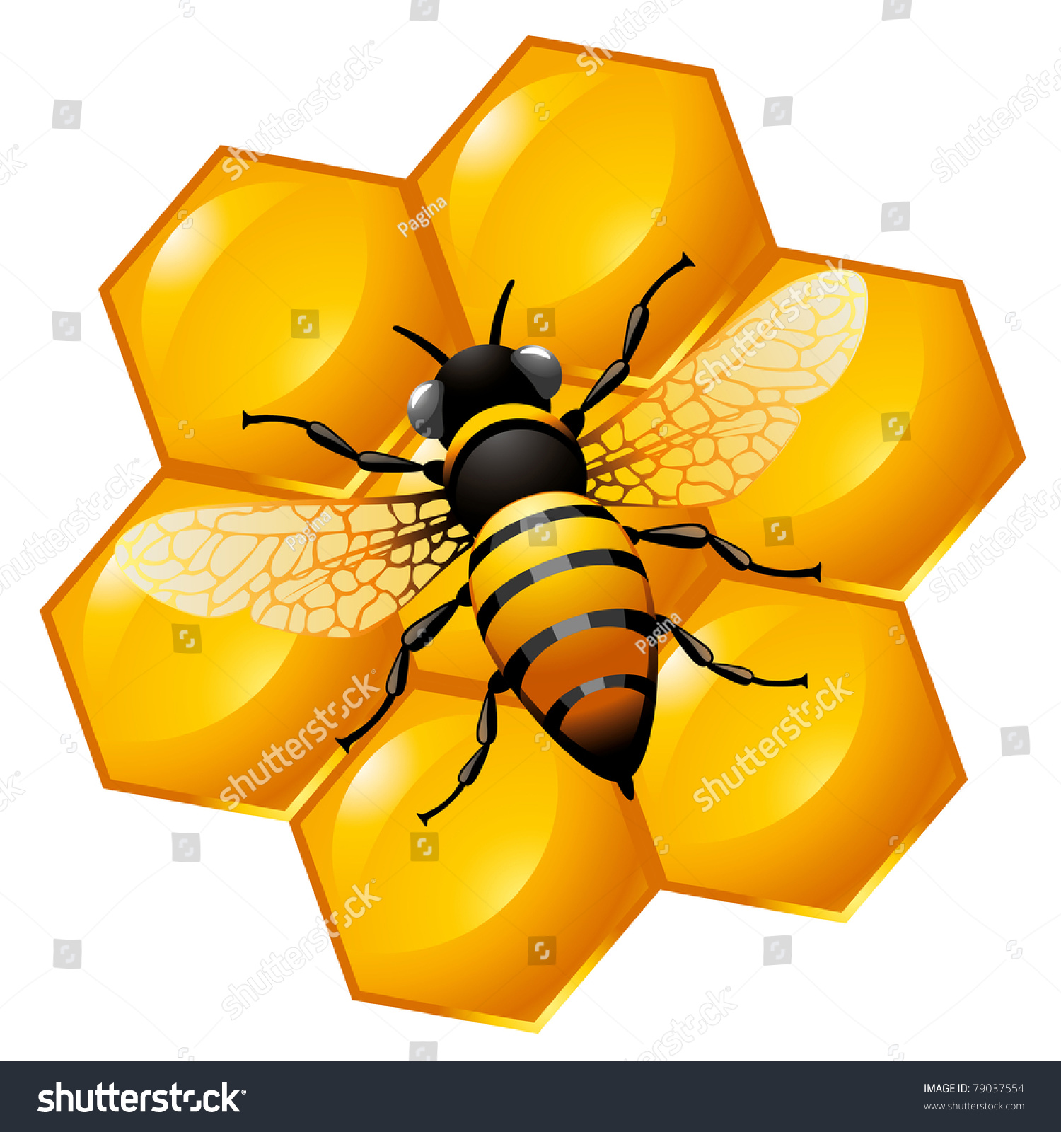 Bee On A Part Of Honeycomb, Isolated On White. Also Can Be Used As An ...