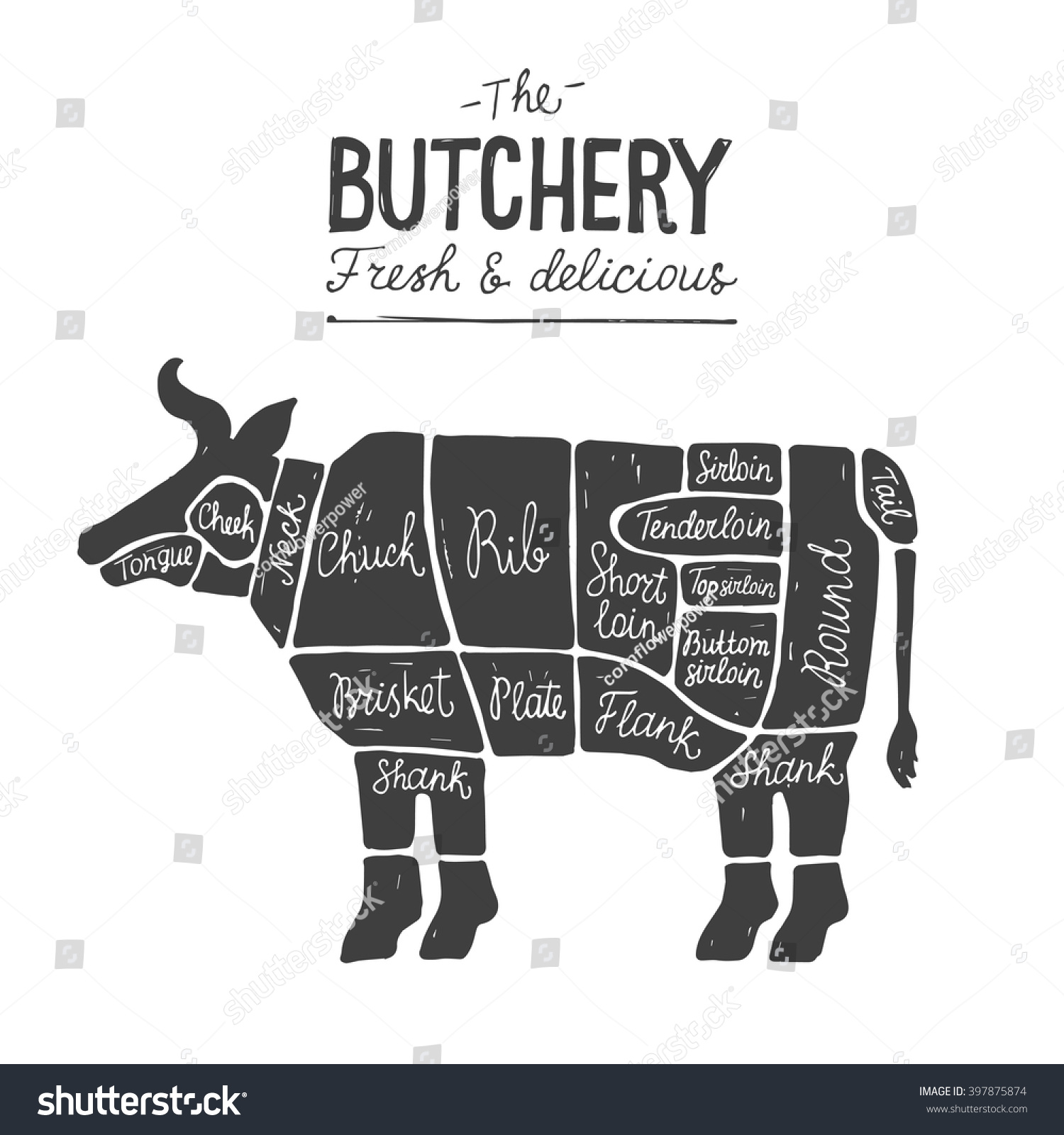 Butcher Chart