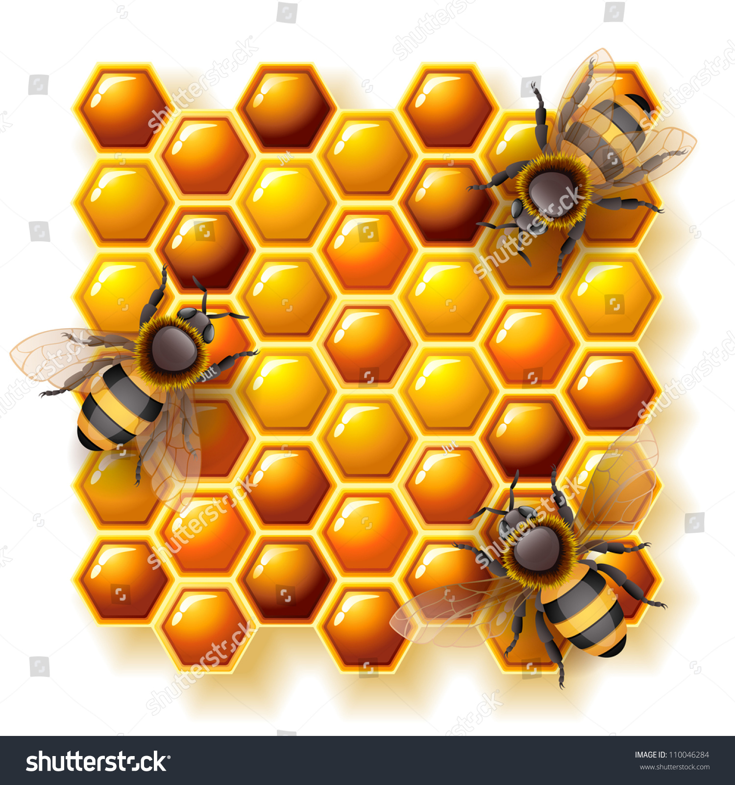 Bees Honey Stock Vector 110046284 - Shutterstock