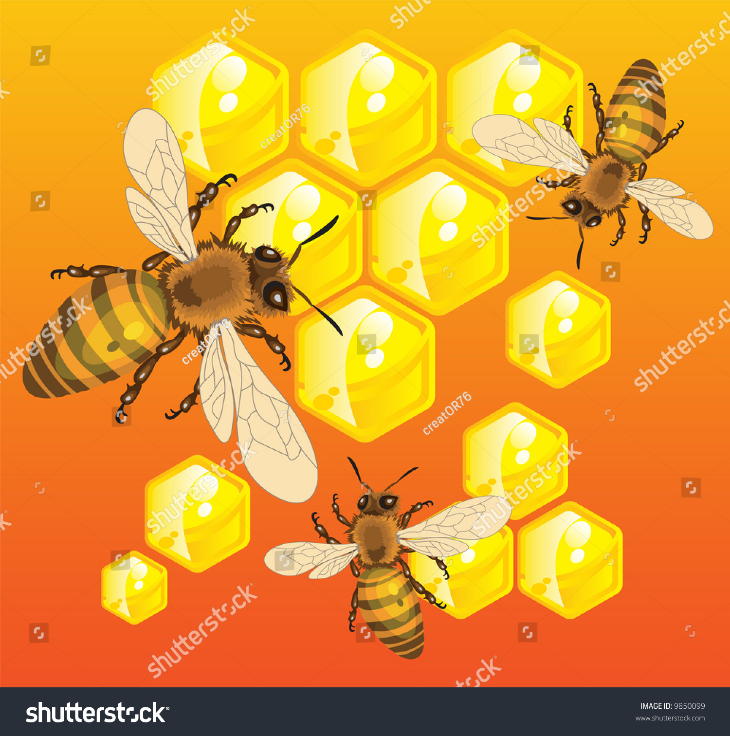 Bees Do Honey Honeycombs Inside Beehive Stock Vector Royalty Free