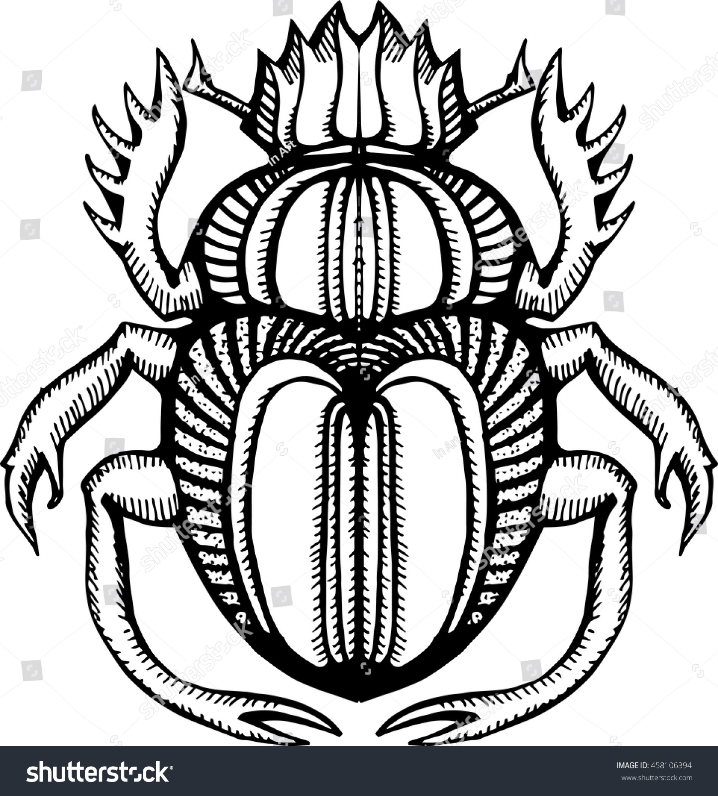 Beetle Scarab Stylized Insect Line Art Stock Vector (Royalty Free ...