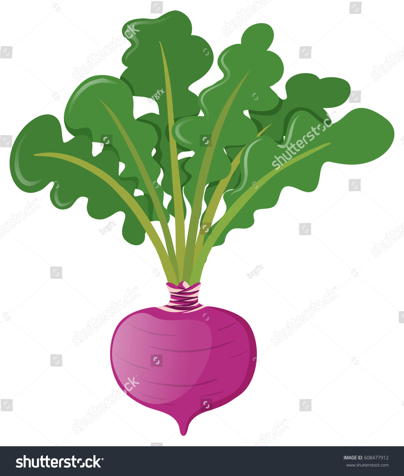 free clipart beets - photo #45
