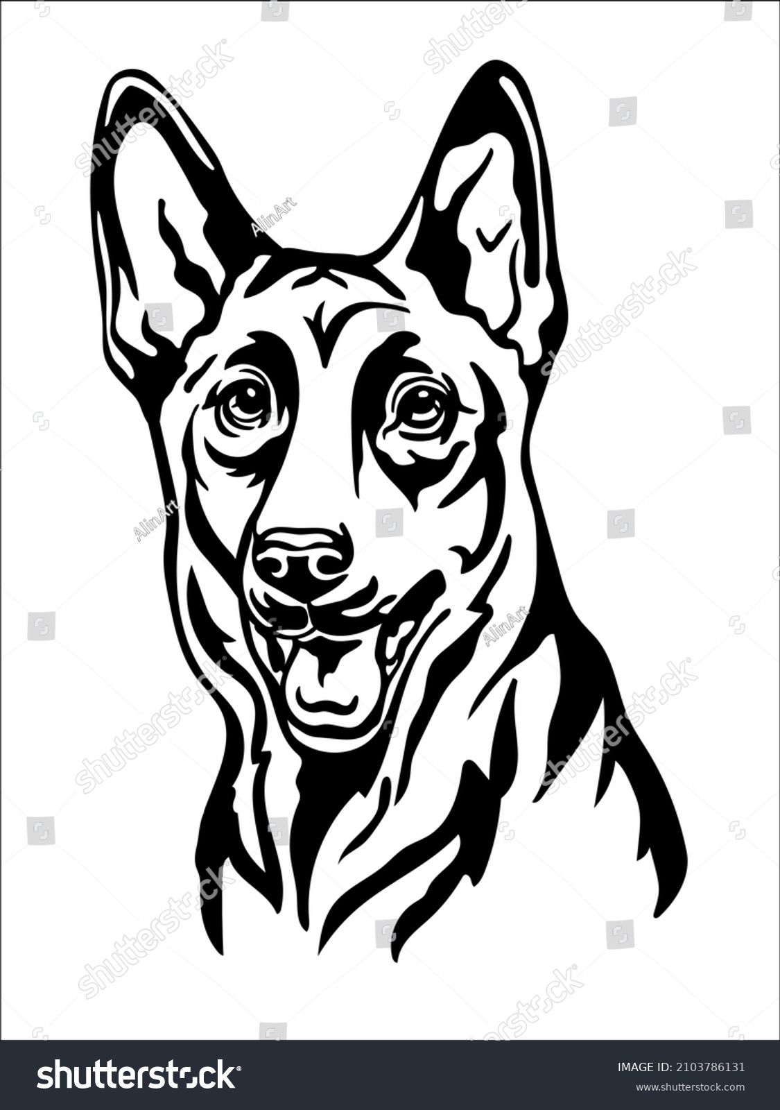 SVG of Belgian shepherd black contour portrait. Dog head in front view vector illustration isolated on white. For decor,embroidery, design, print, poster, postcard, sticker, t-shirt, cricut, tattoo svg