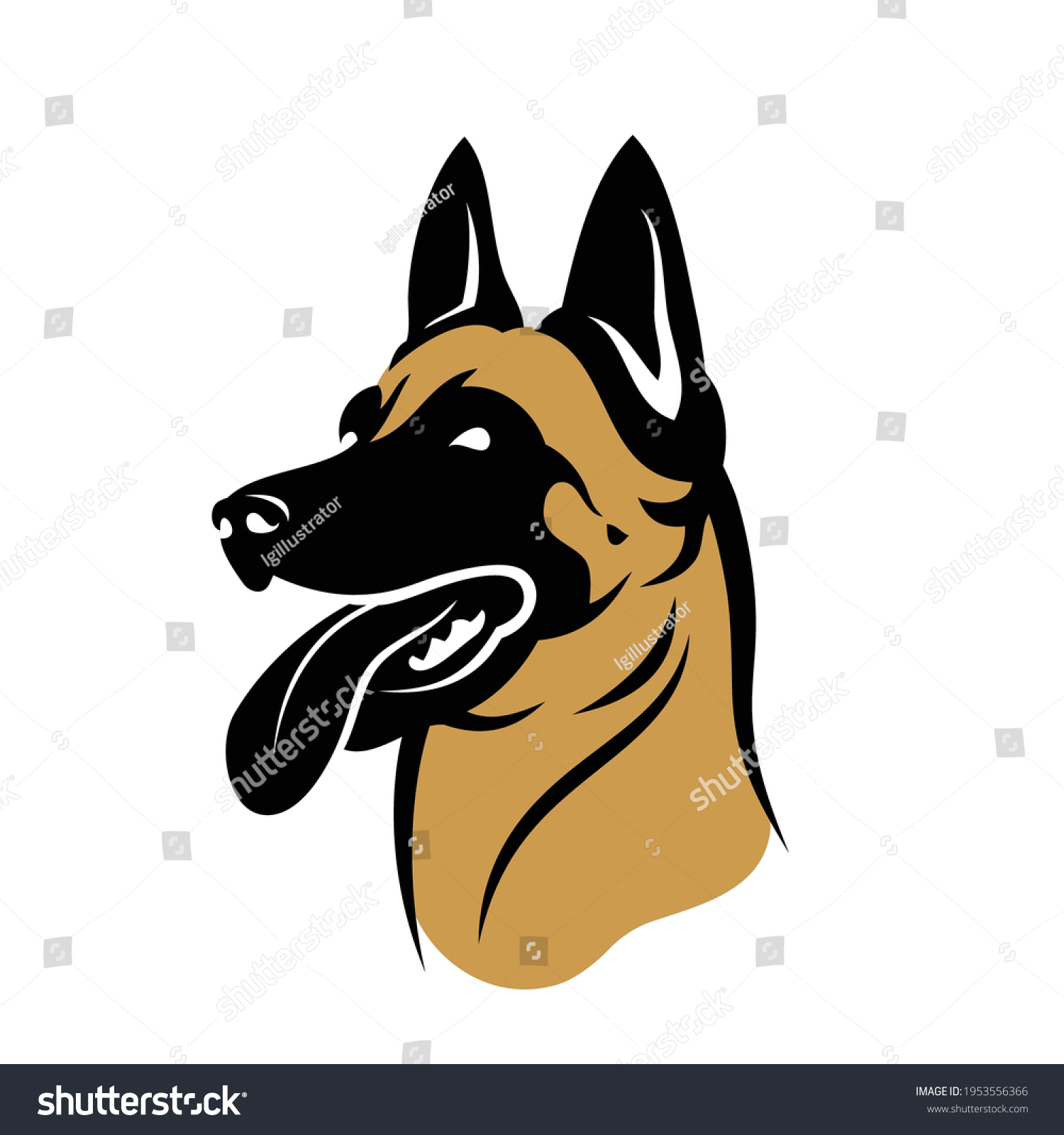 SVG of Belgian shepherd dog Malinois face - isolated vector illustration svg
