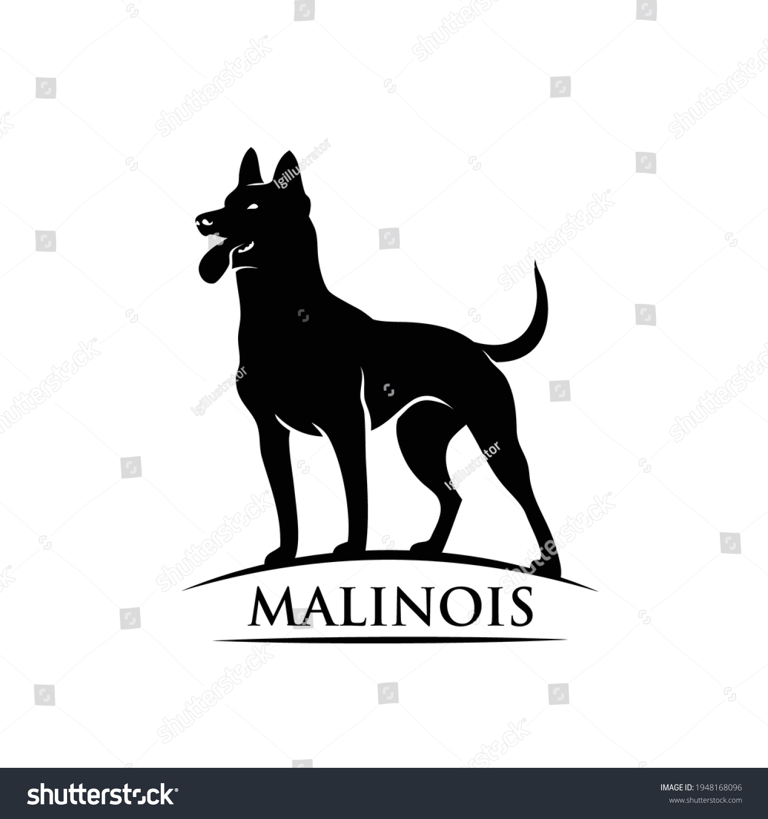 SVG of Belgian shepherd dog Malinois - isolated vector illustration svg