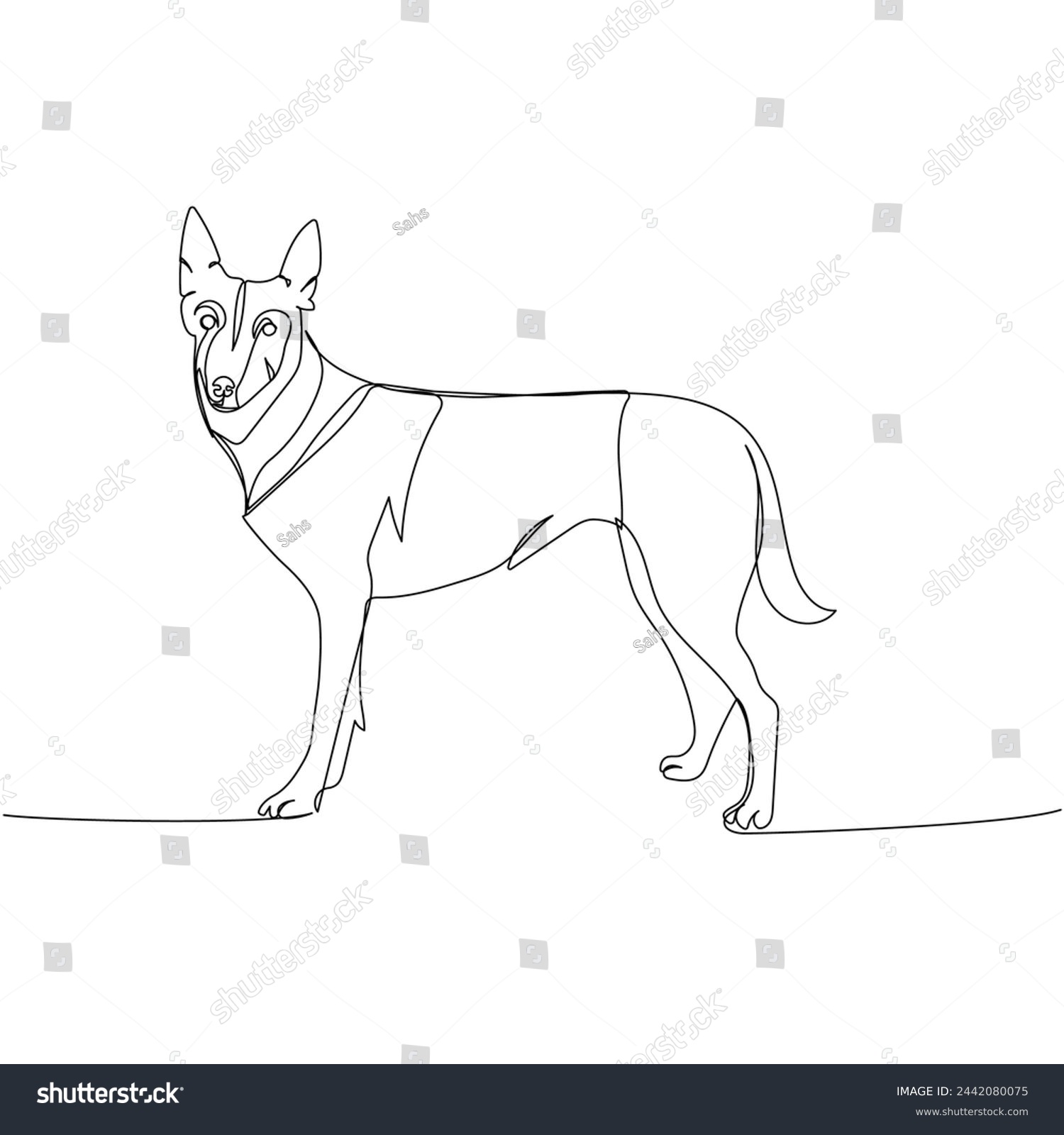 SVG of Belgian Shepherd, Malinois, dog breed, shepherd dog, service dog one line art. Continuous line drawing of friend, dog, doggy, friendship, care, pet, animal, family, canine. svg
