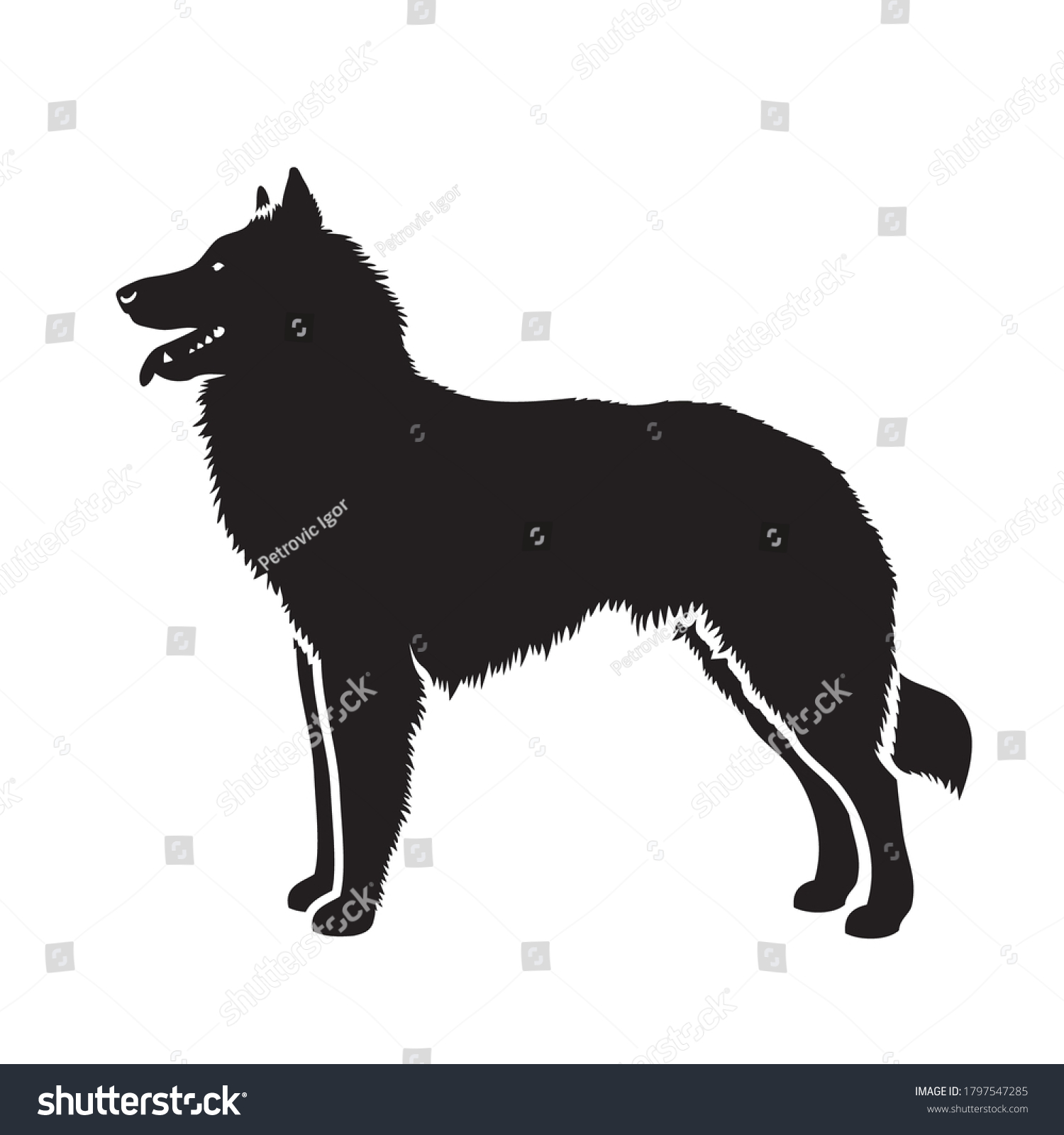 SVG of Belgian Shepherd Tervuren dog - isolated vector illustration svg