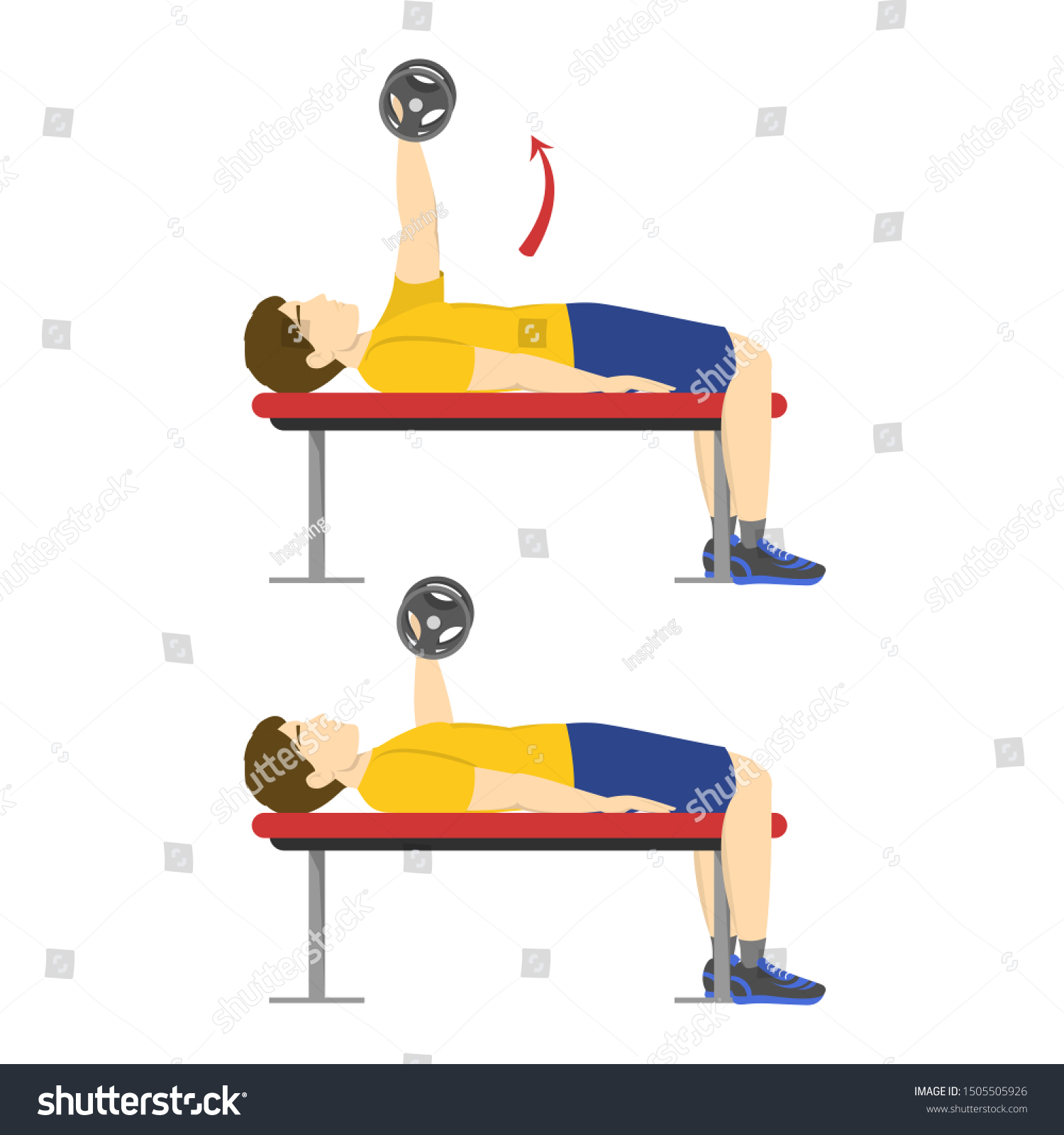 Bench Press Exercise Chest Man Doing Stock Vector Royalty Free