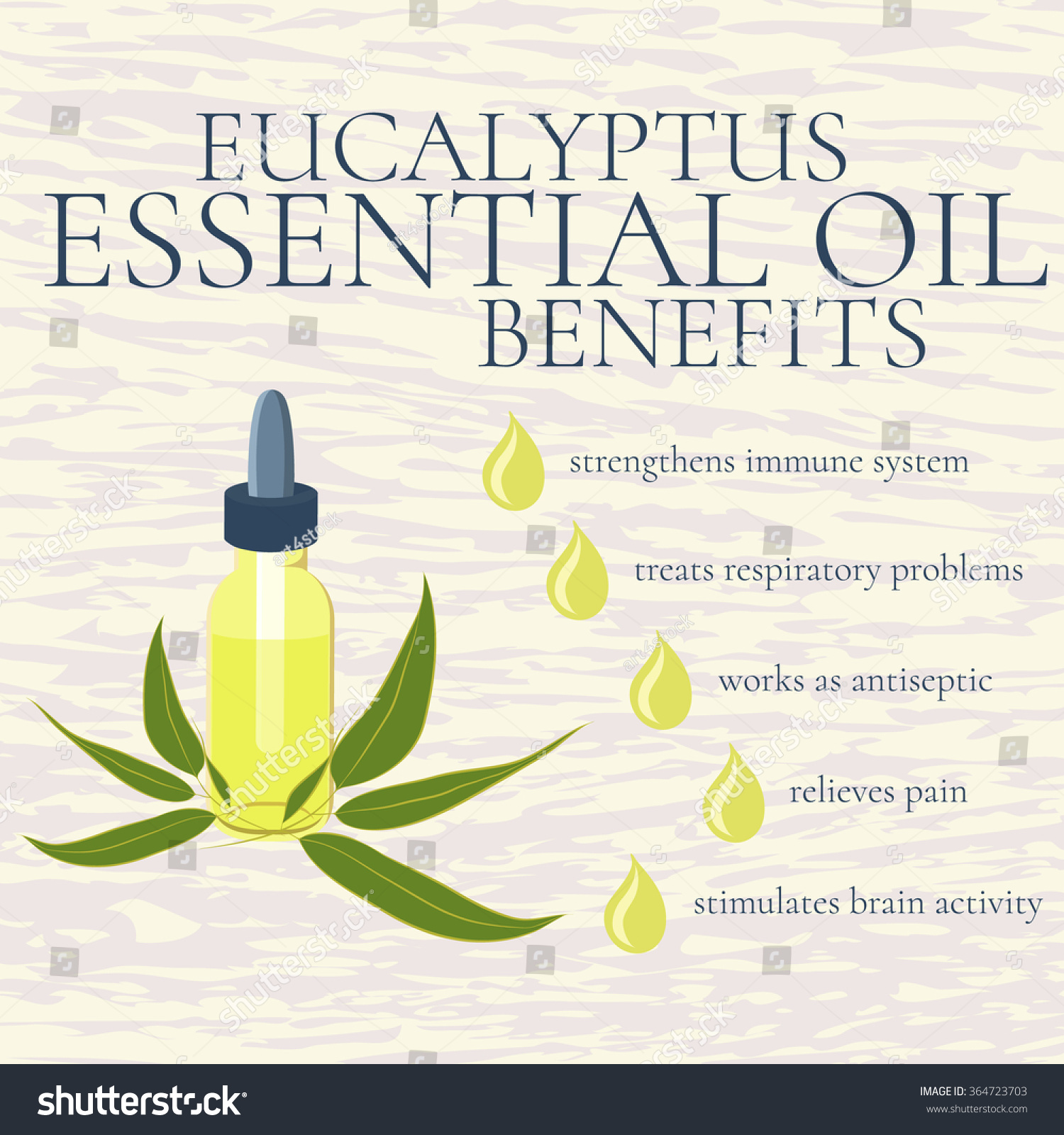 Benefits Eucalyptus Essential Oil Infographic Elements Stock Vector ...