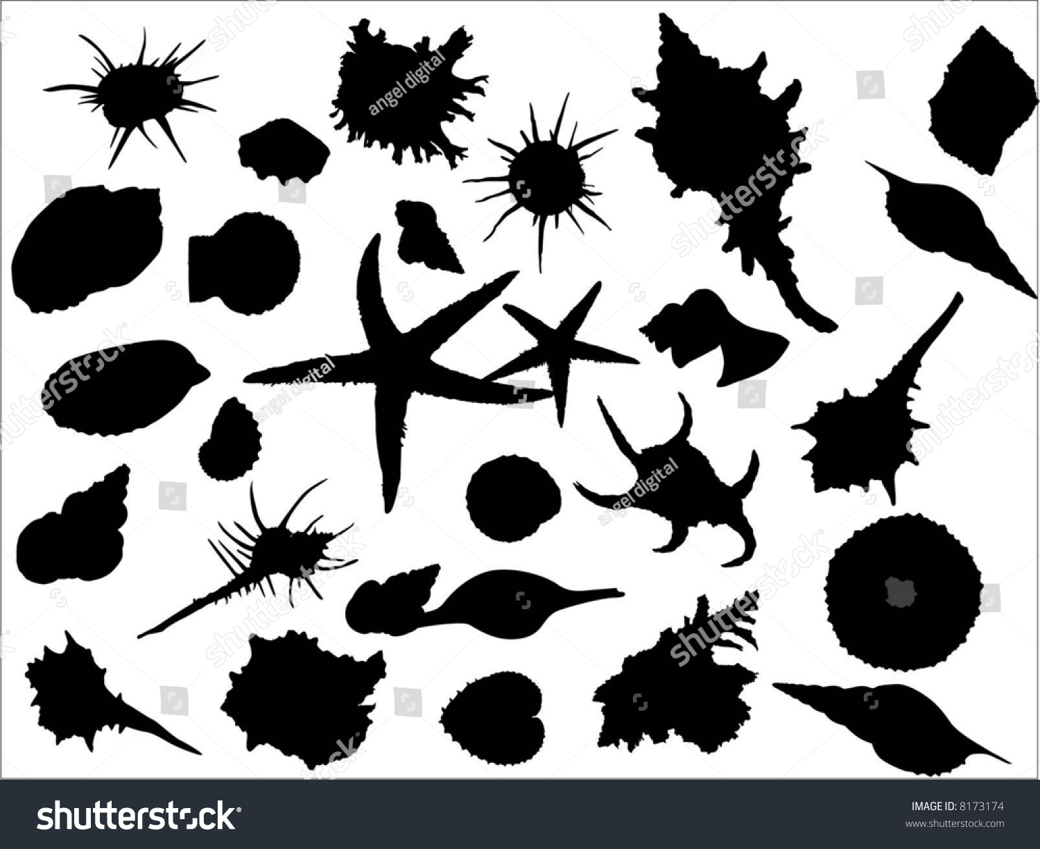 Benthos Stock Vector 8173174 Shutterstock