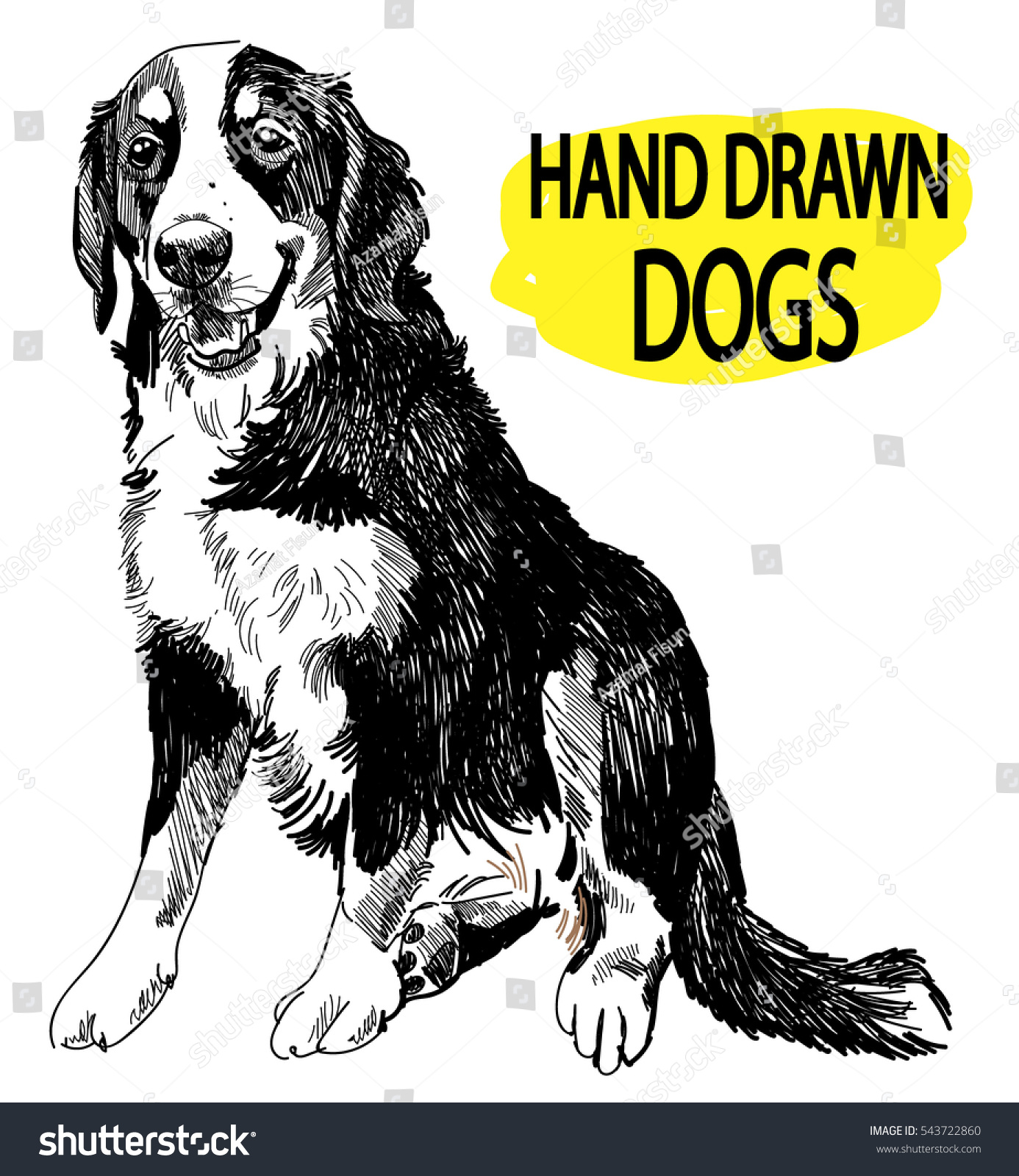 Bernese Mountain Dog Drawing By Hand Stock Vector (Royalty Free) 543722860