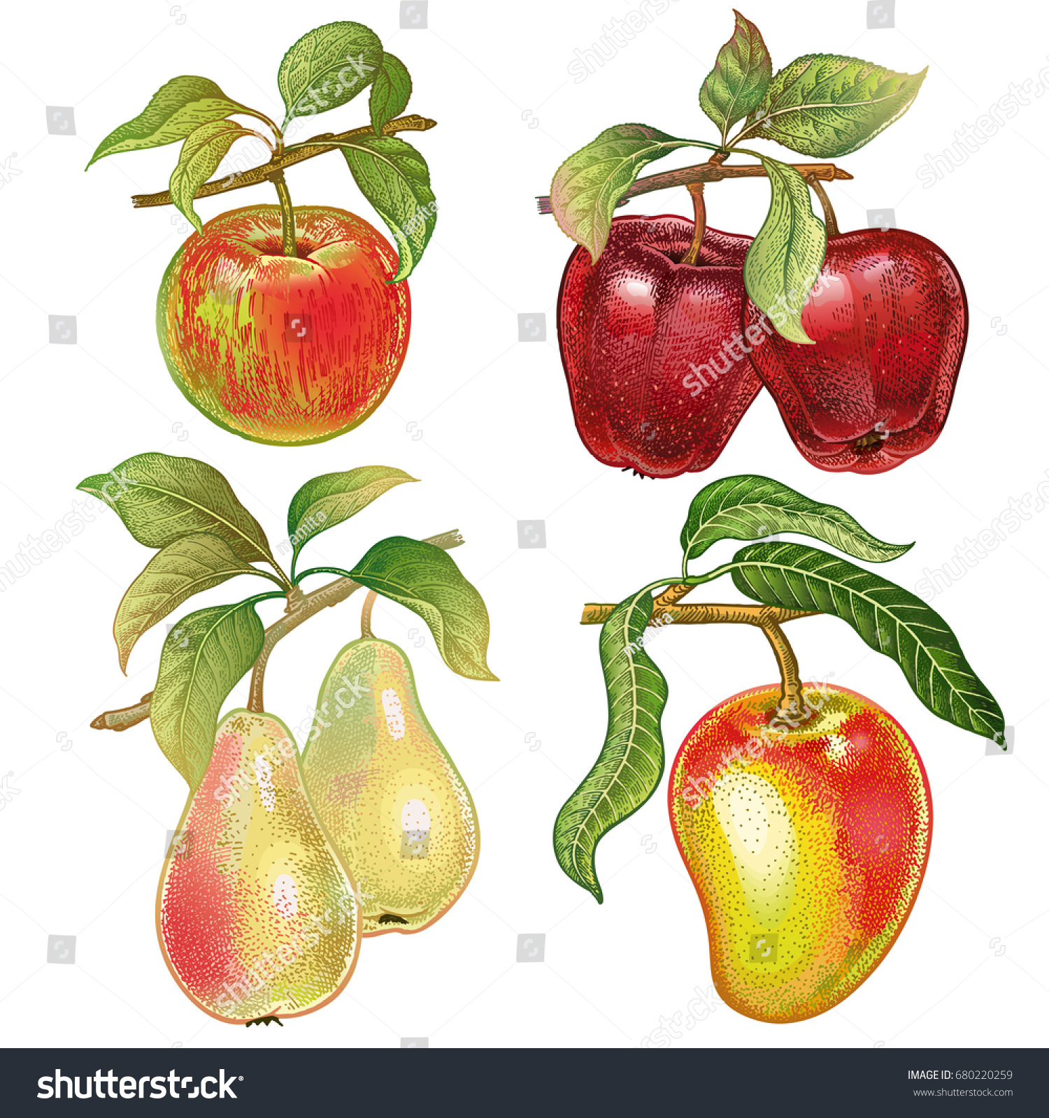 Featured image of post Colored Pencil Realistic Apple Drawing : This realistic apple drawing was done in 30 mins and i used hb pencil to draw the.