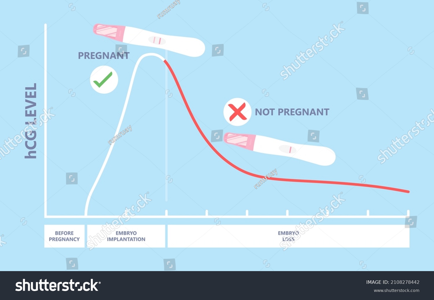 Beta Hcg Levels Blood Test Home Stock Vector (Royalty Free) 2108278442 Shutterstock